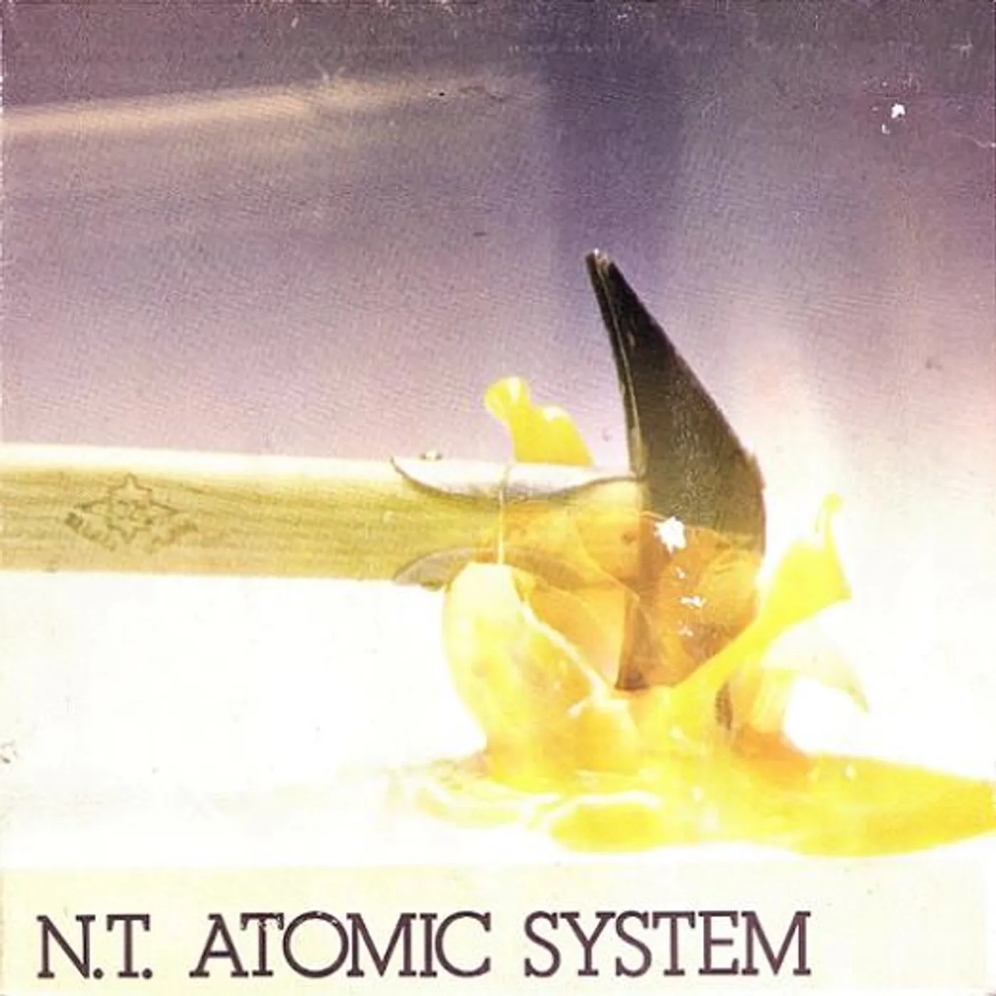 N.T. ATOMIC SYSTEM Vinyl Record