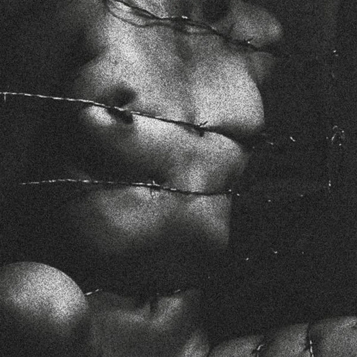 Clavicvla Degeneracy of the 5th Density Vinyl Record