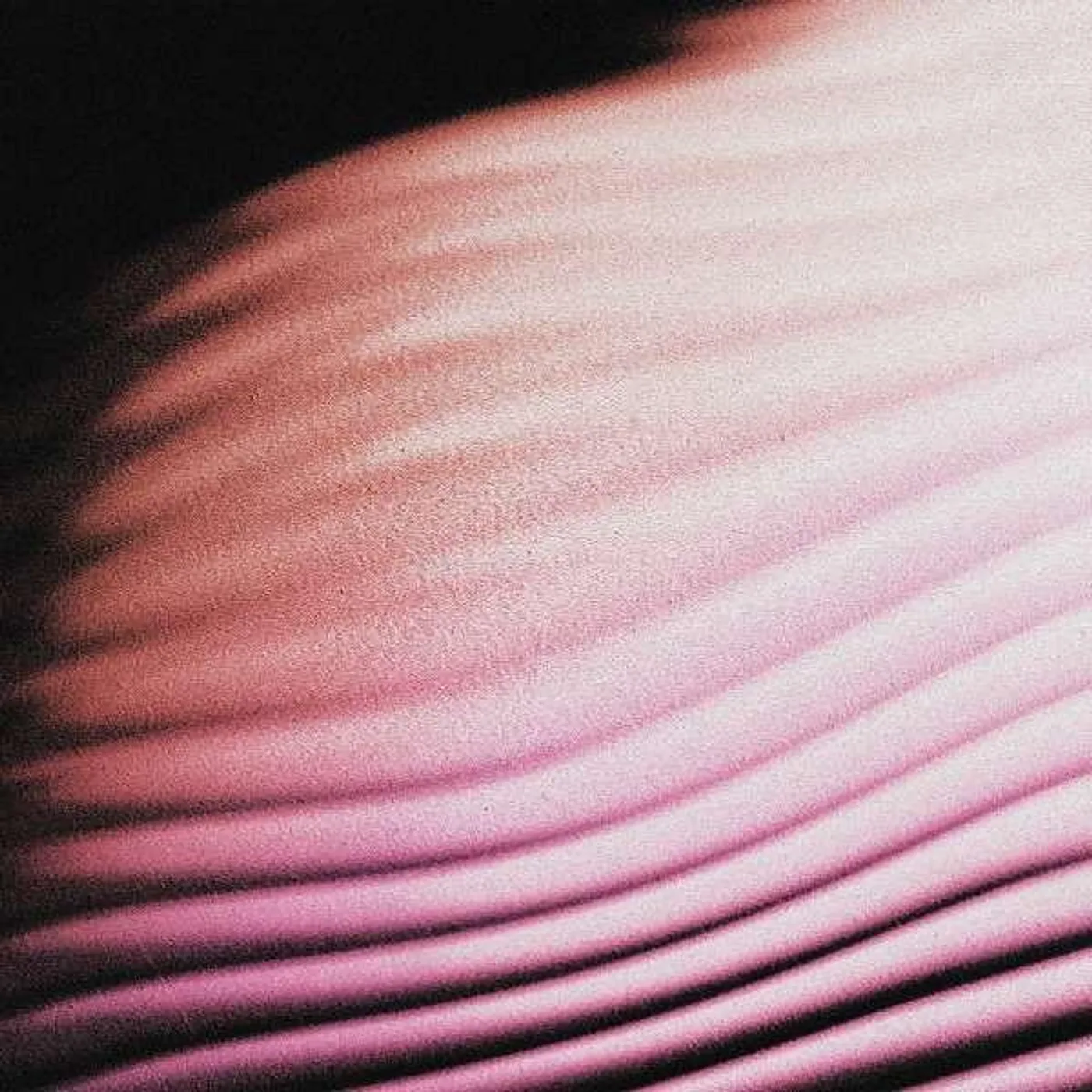 Polar EVERYTHING EVERYWHERE CD