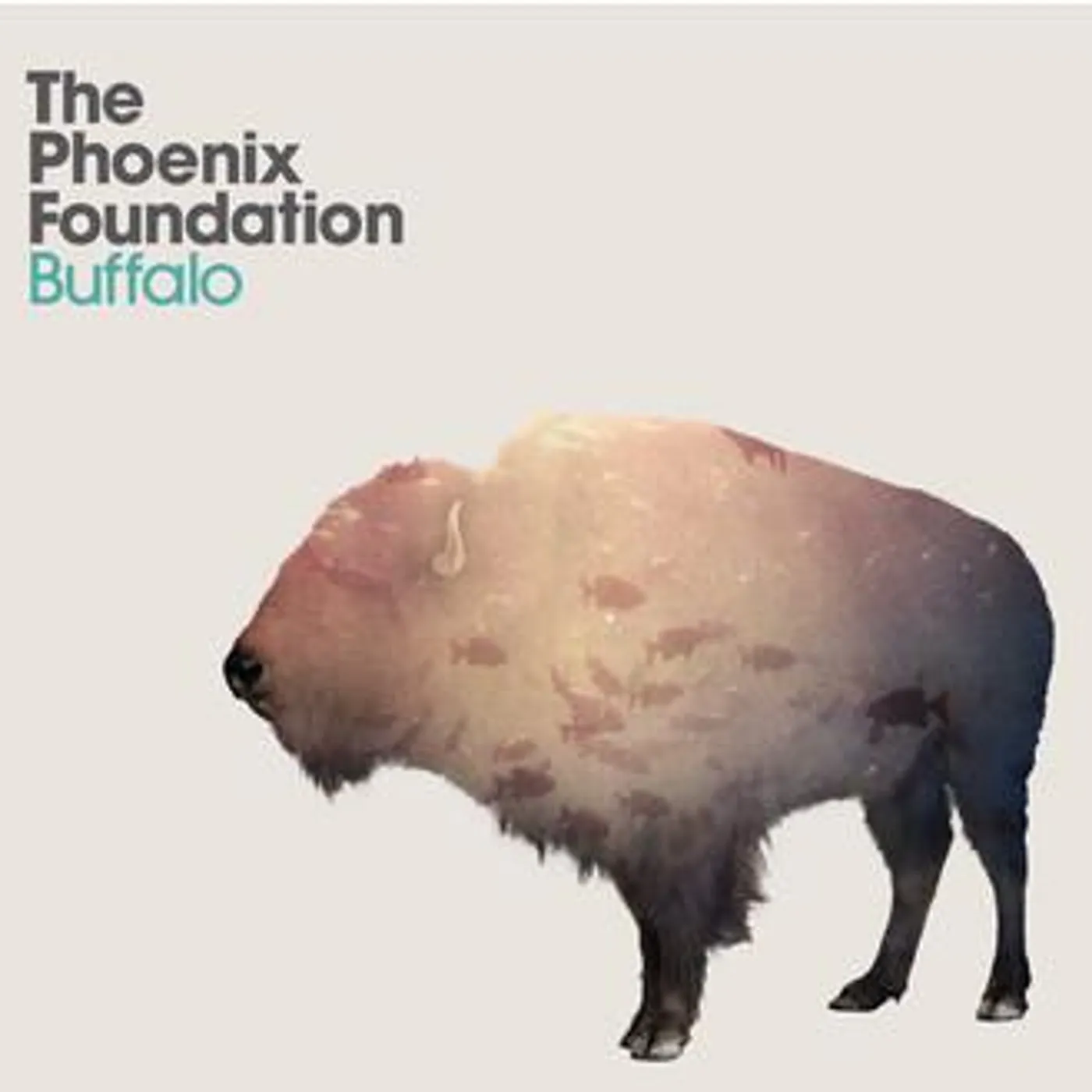 Phoenix Foundation Buffalo Vinyl Record
