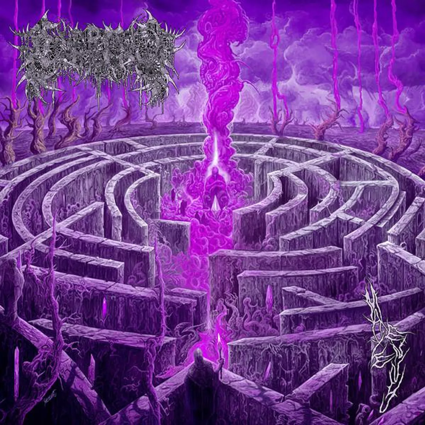 Civerous MAZE ENVY Vinyl Record