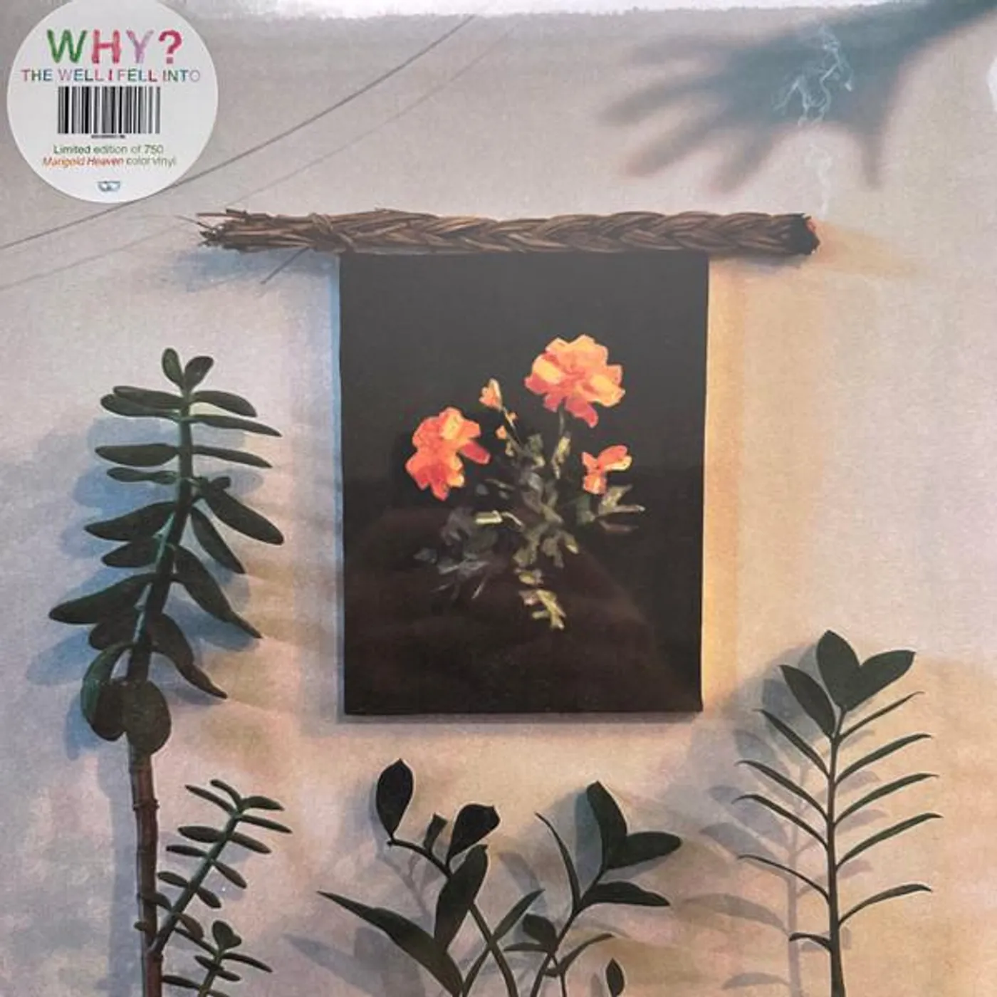 Why WELL I FELL INTO (COKE BOTTLE CLEAR VINYL) Vinyl Record