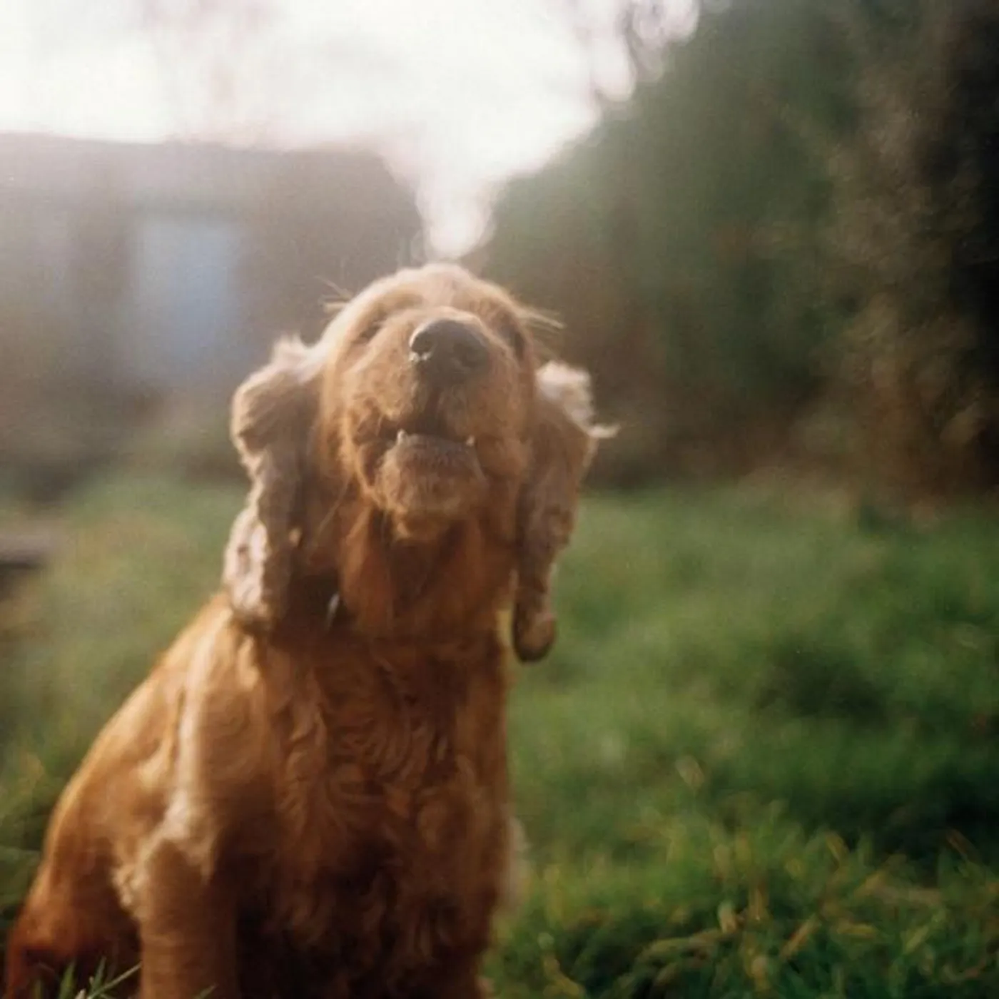 Vondelpark NYC Stuff & NYC Bags EP Vinyl Record