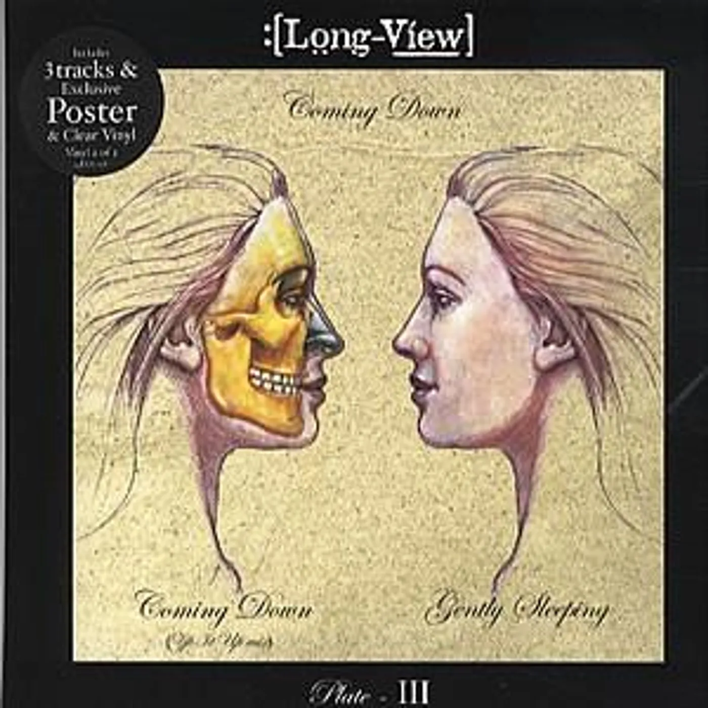 Long-view COMING DOWN Vinyl Record