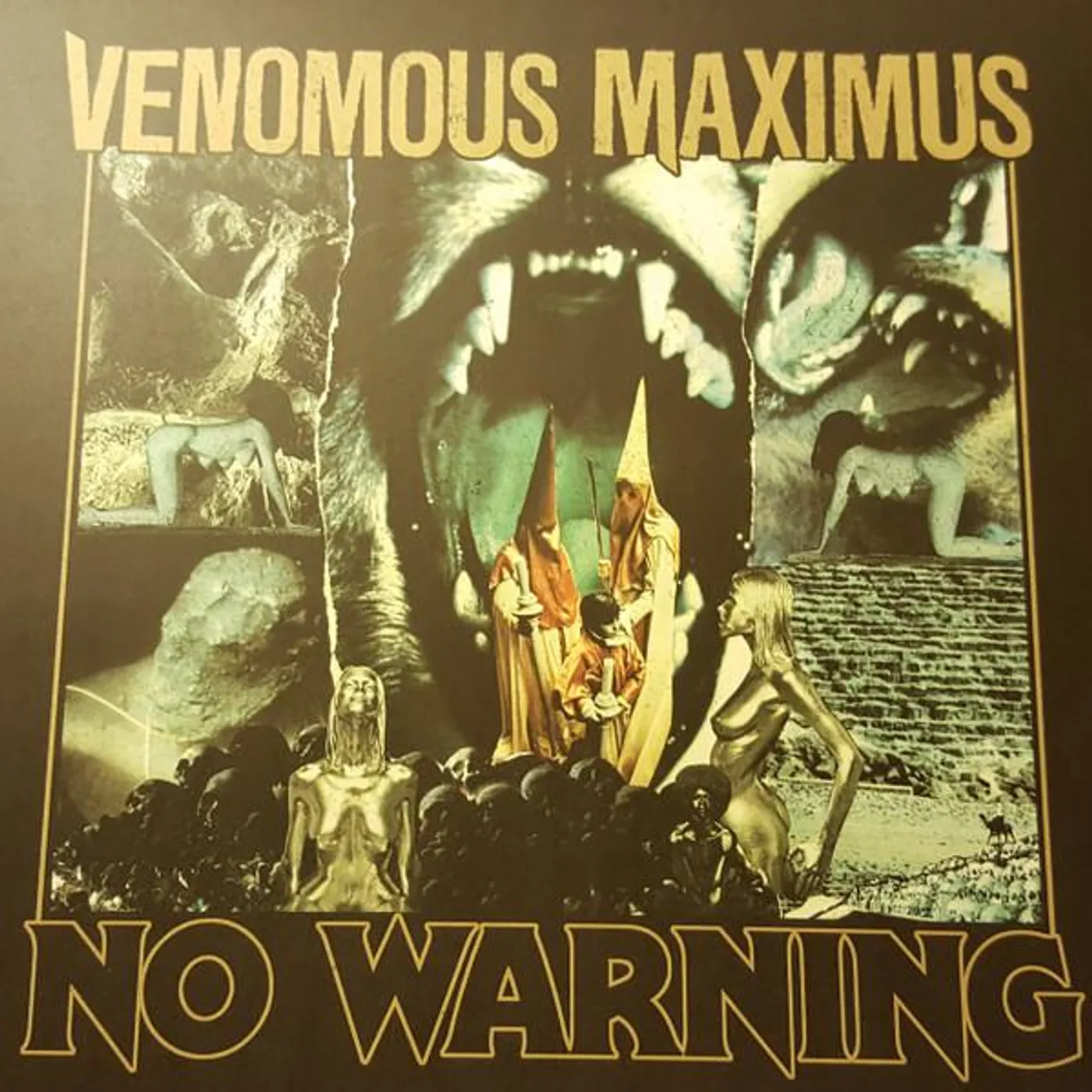Venomous Maximus NO WARNING Vinyl Record