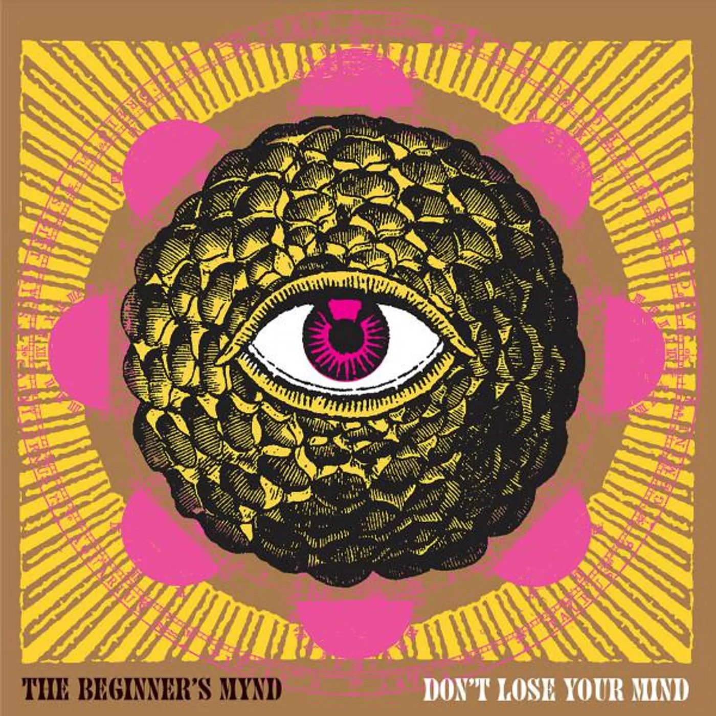 The Beginner's Mynd DON'T LOSE YOUR MIND Vinyl Record