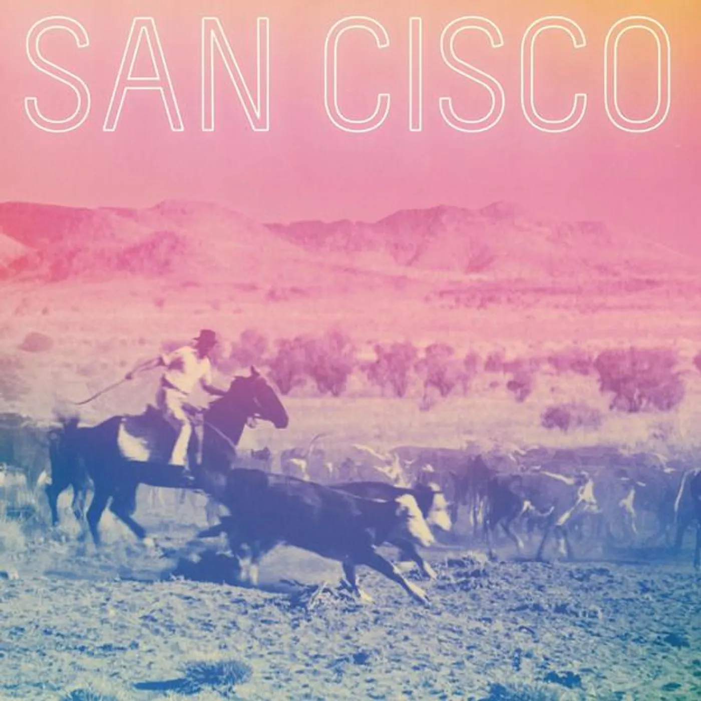 SAN CISCO CD