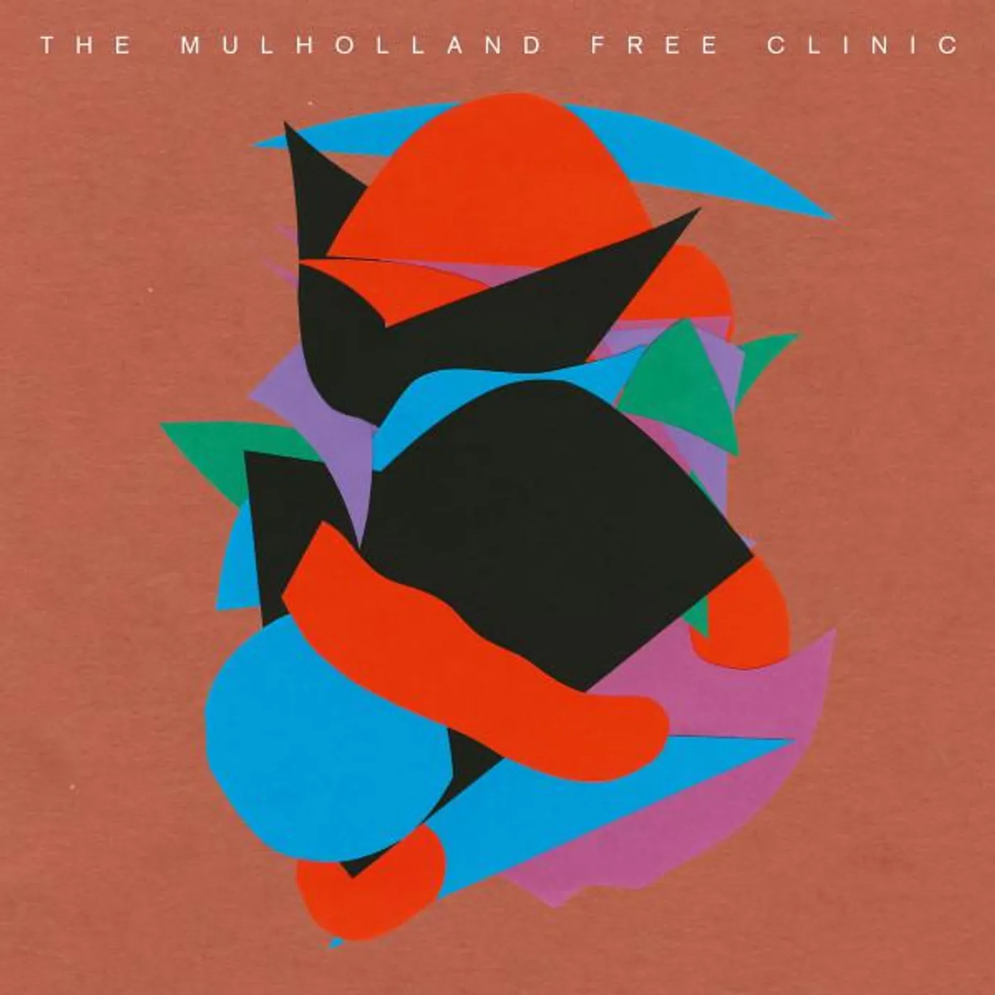 The Mulholland Free Clinic Vinyl Record