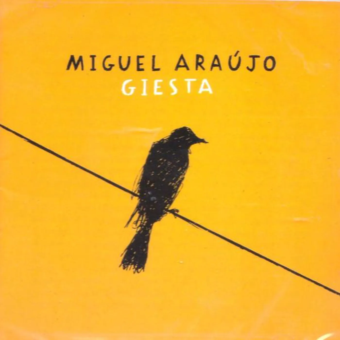 Miguel Araújo GIESTA CD