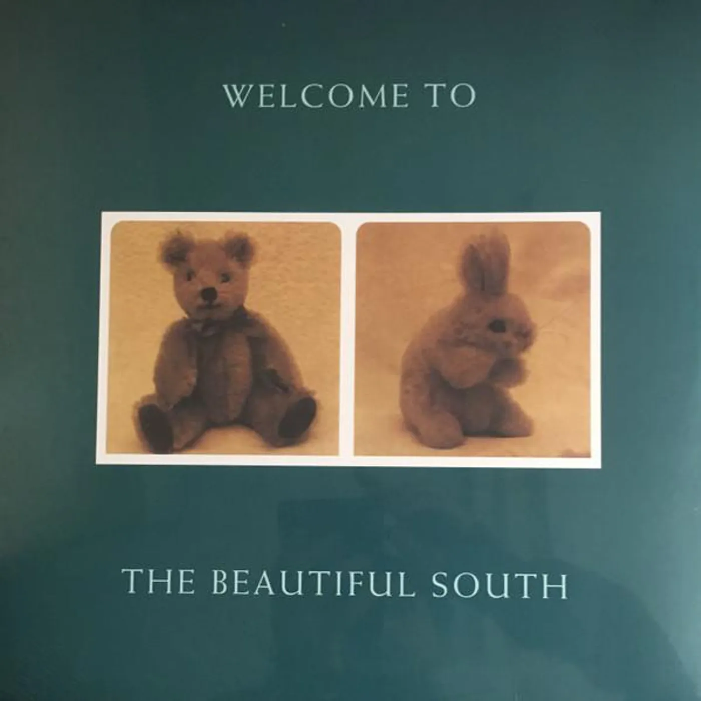 WELCOME TO THE BEAUTIFUL SOUTH Vinyl Record