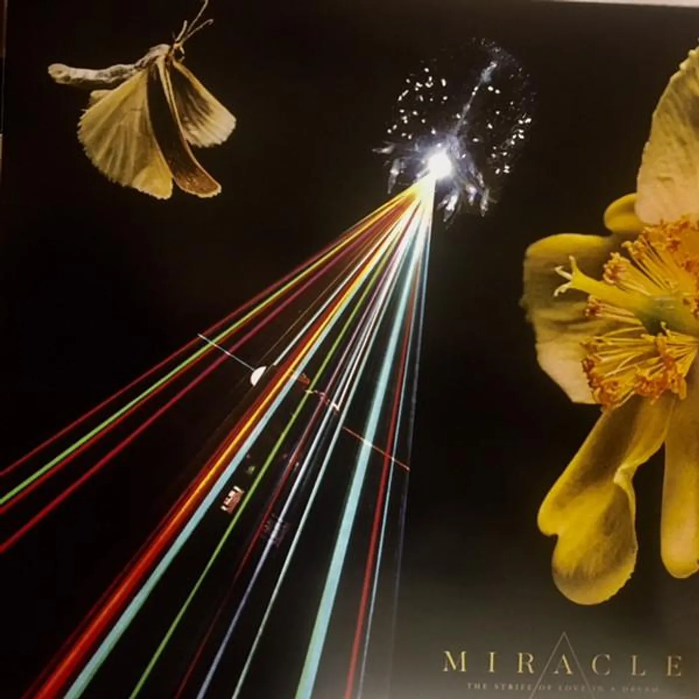 Miracle STRIFE OF LOVE IN A DREAM Vinyl Record