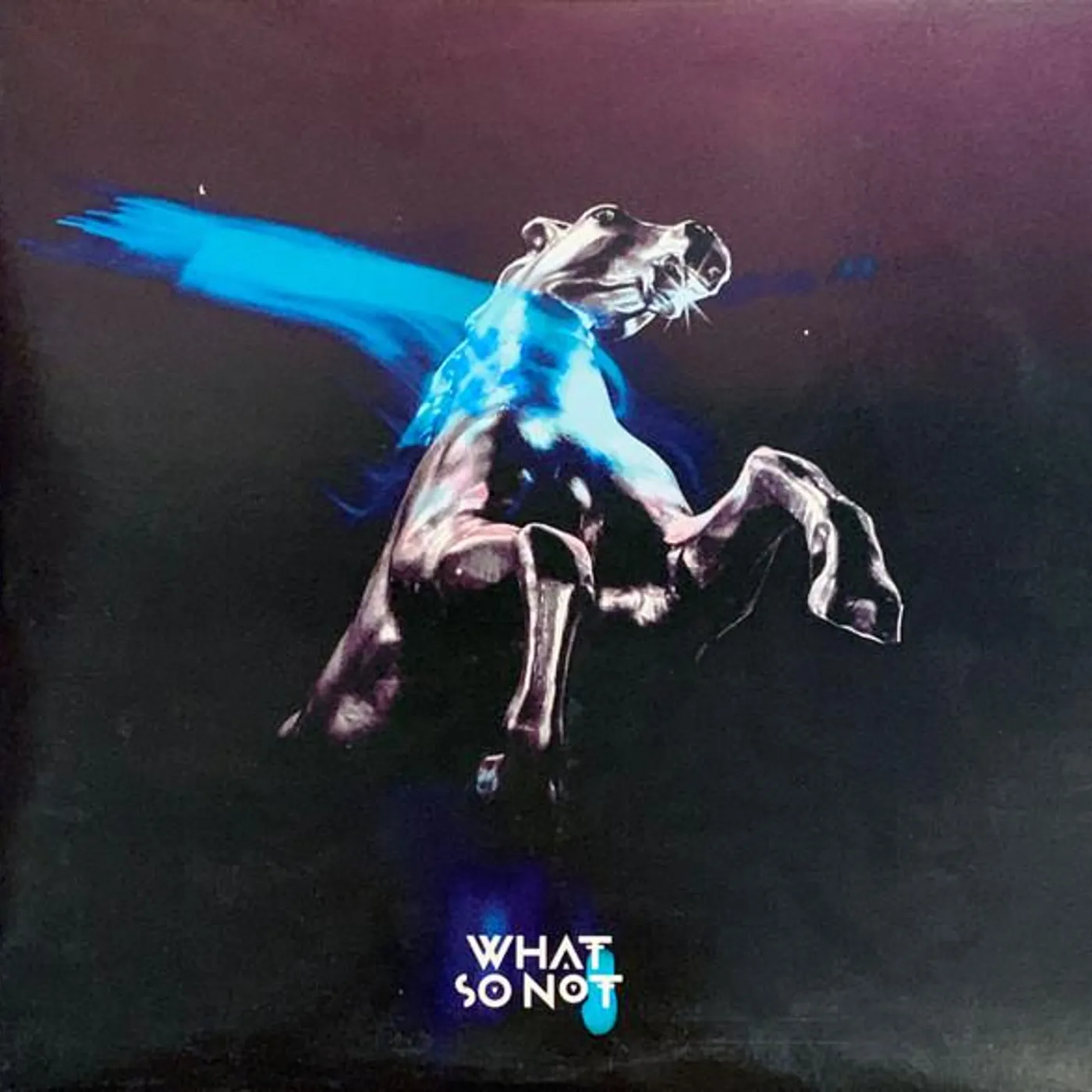 What So Not Not All The Beautiful Things Vinyl Record