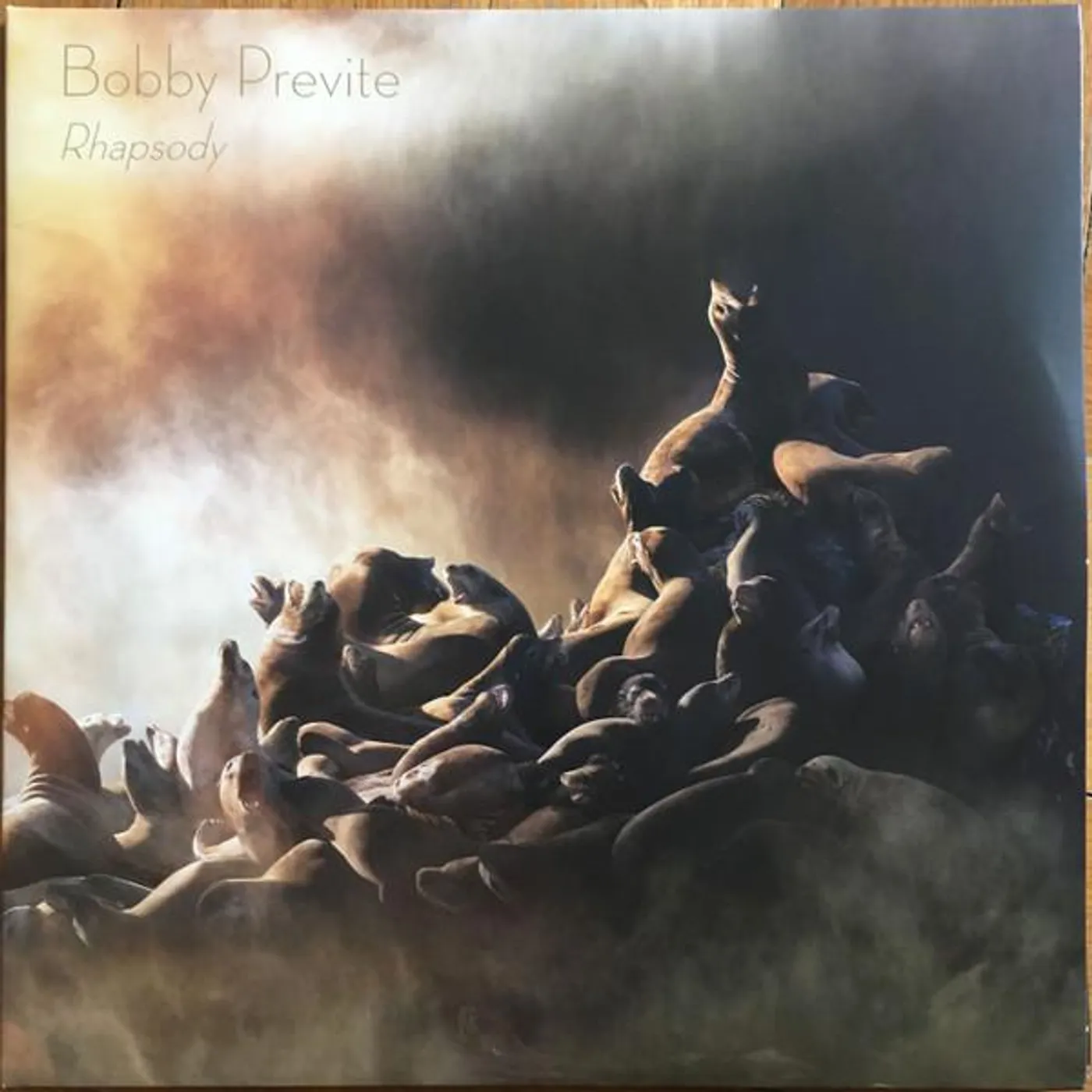 Bobby Previte RHAPSODY Vinyl Record