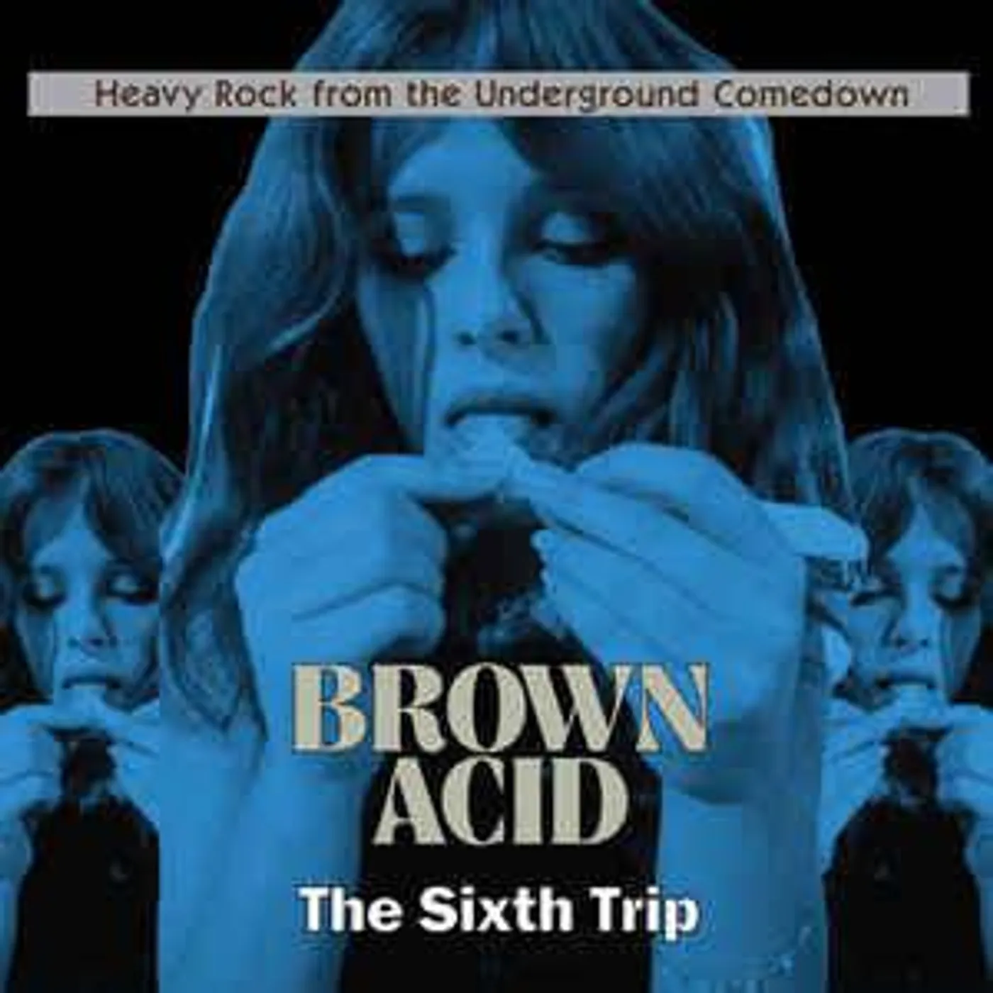 Various Artists  BROWN ACID: THE SIXTH TRIP Vinyl Record