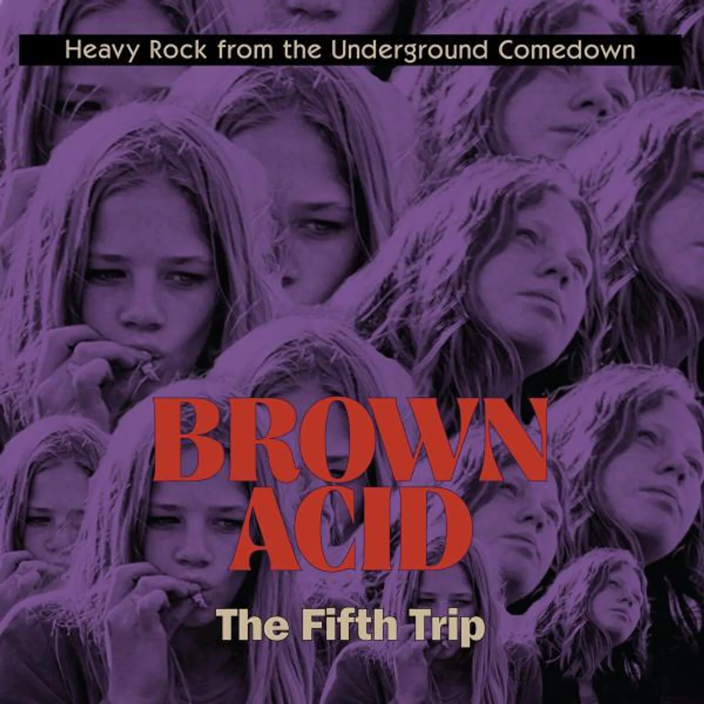 Various Artists  Brown Acid - The Fifth Trip Vinyl Record