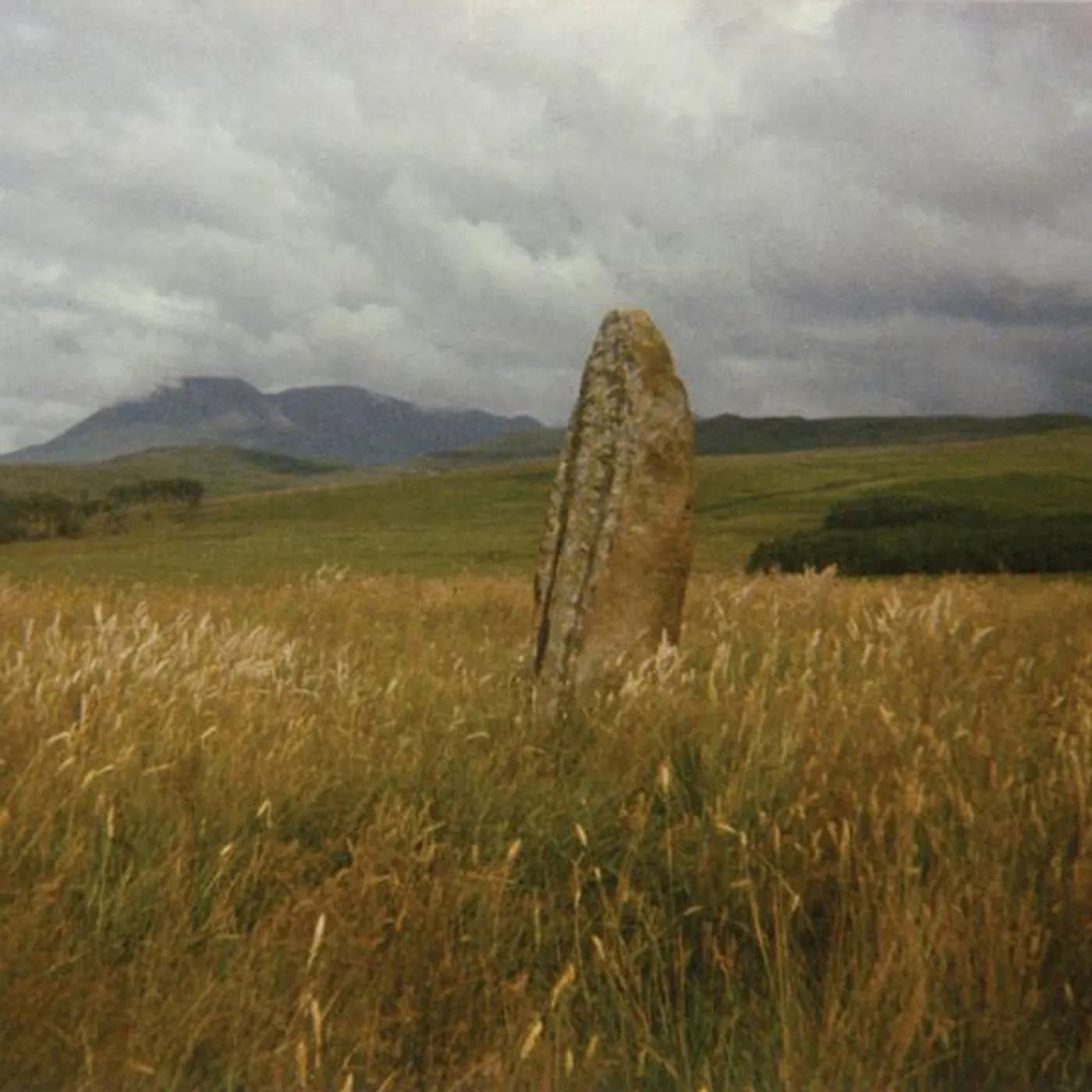 Flying Saucer Attack In Search Of Spaces (2LP) Vinyl Record