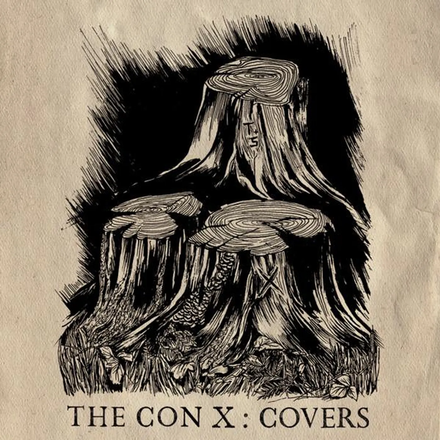 Tegan and Sara CON X: COVERS Vinyl Record