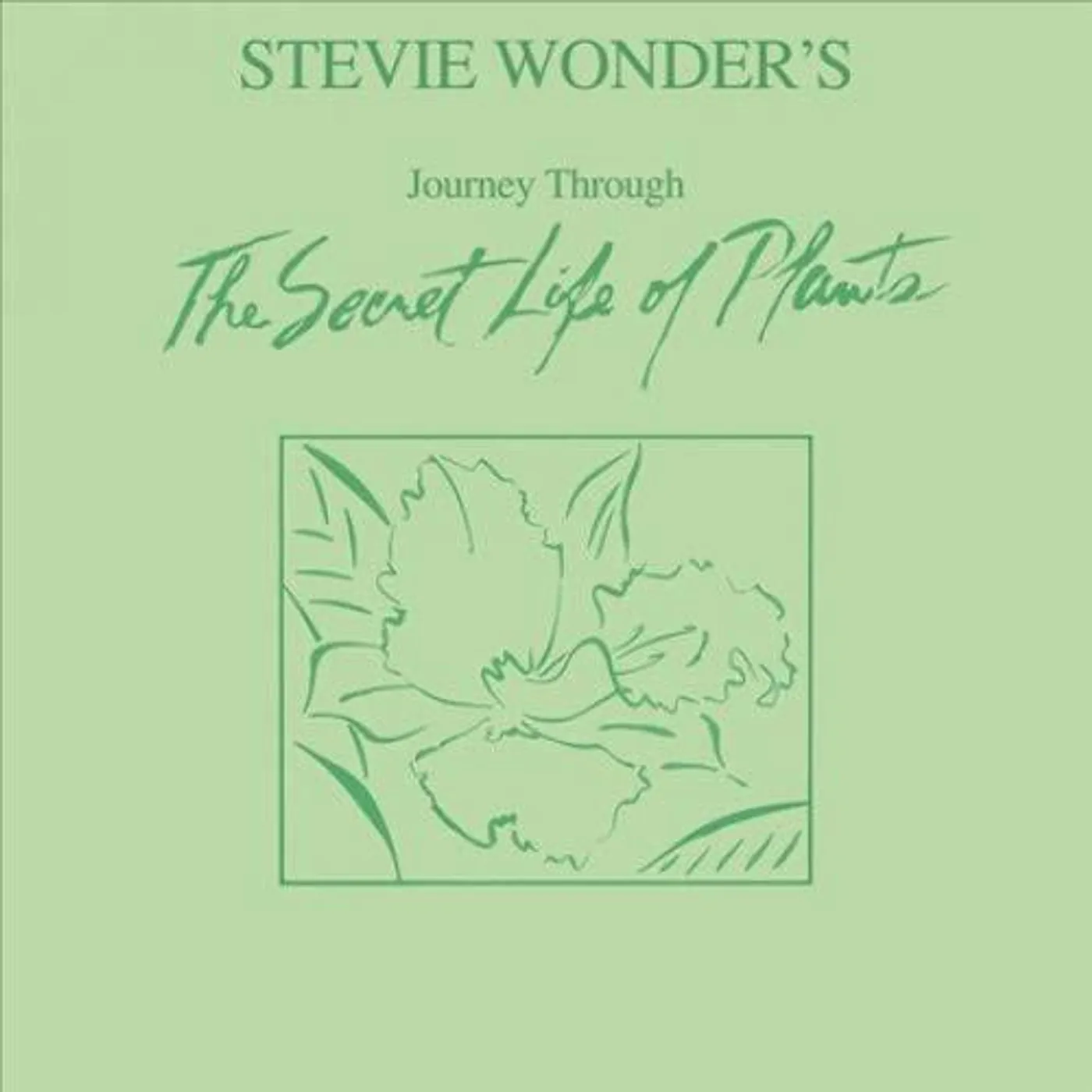 Stevie Wonder JOURNEY THROUGH THE SECRET LIFE OF PLANTS (2LP/180G) Vinyl Record