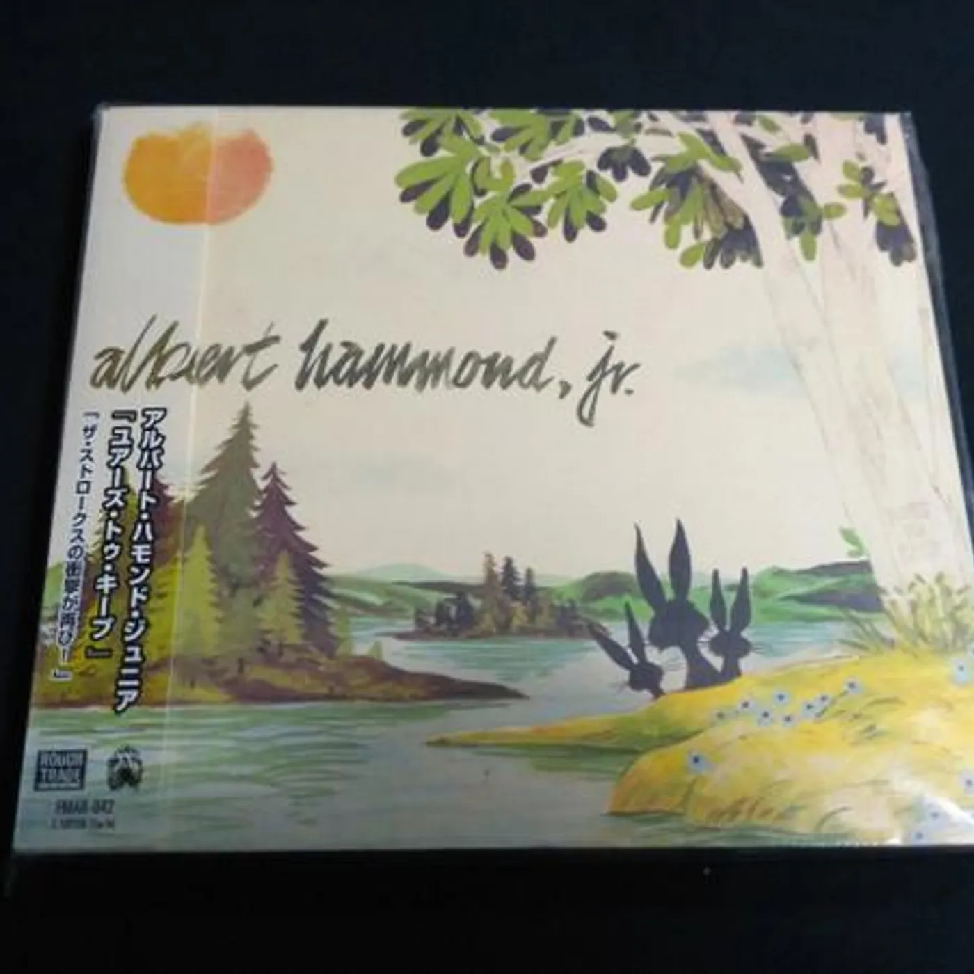 Albert Hammond Jr YOURS TO KEEP CD