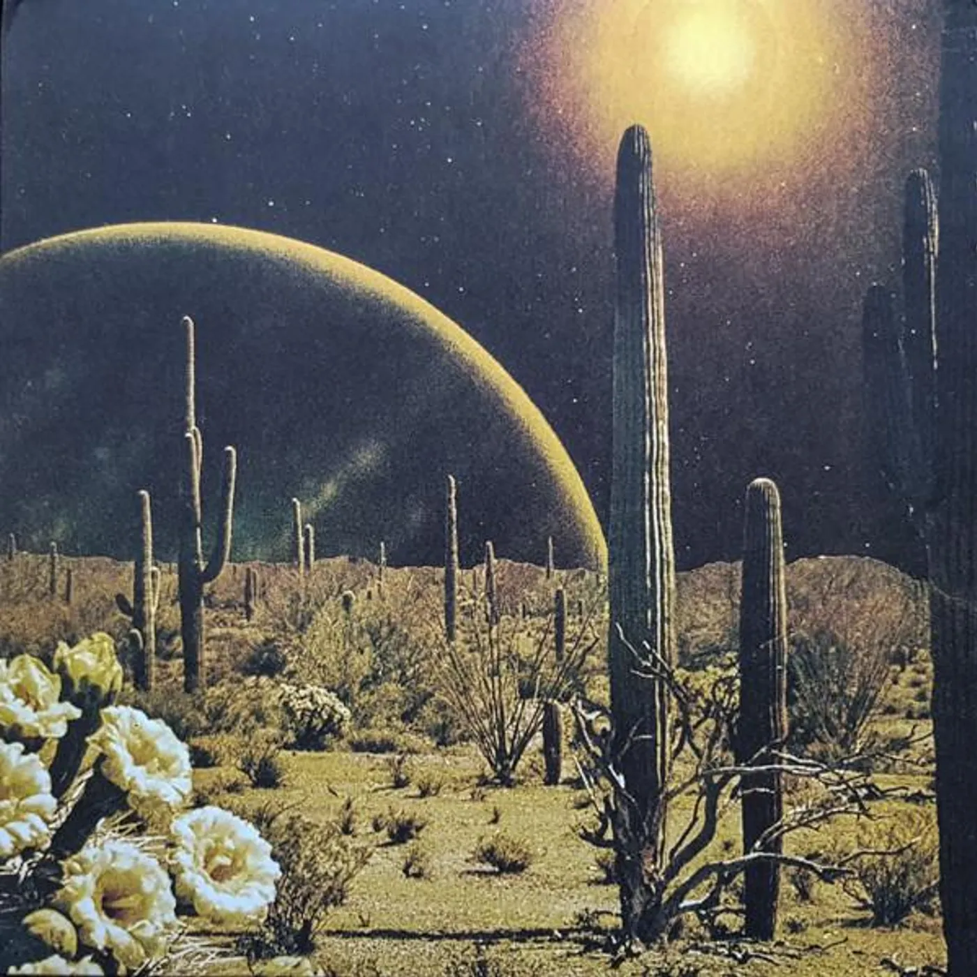 decker. Born to Wake Up Vinyl Record