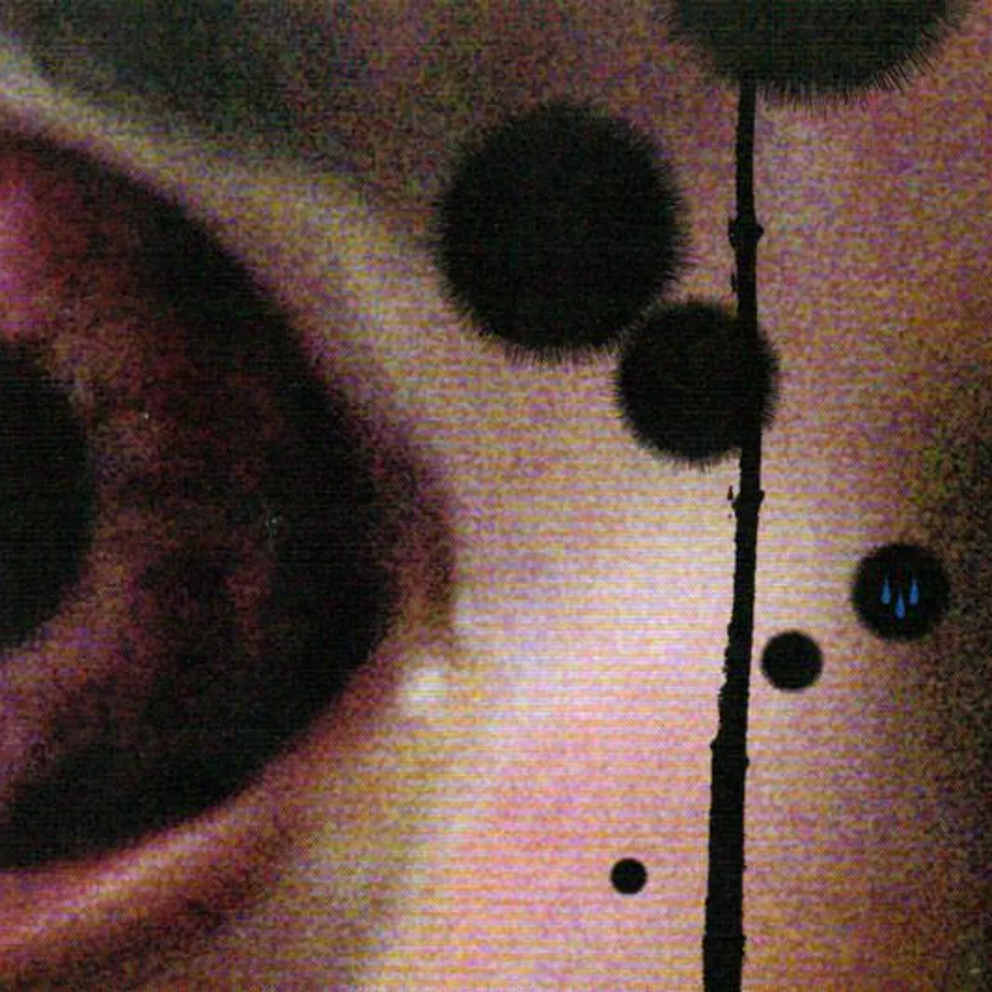 ISIS HOLY TEARS CD