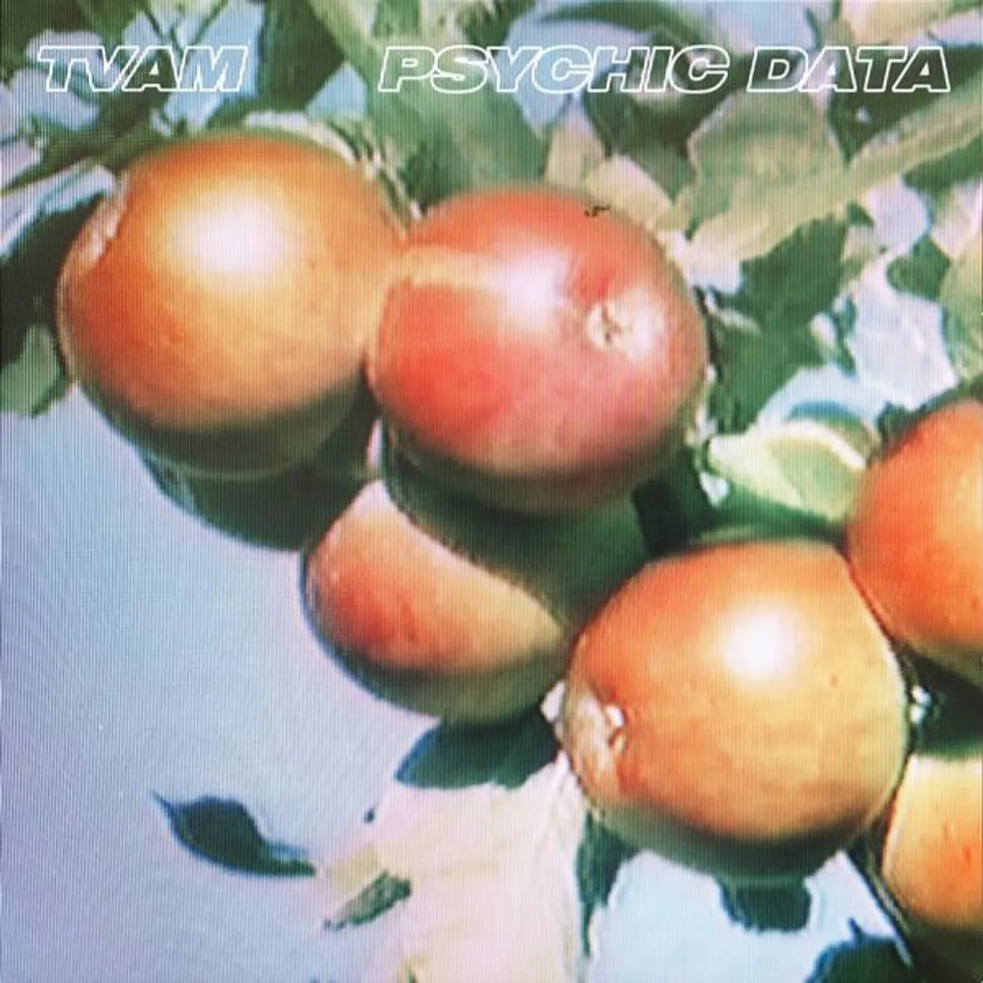 TVAM PSYCHIC DATA Vinyl Record