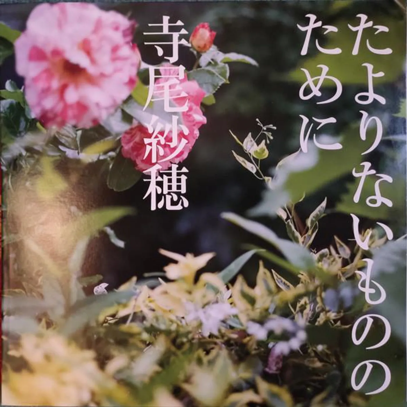 Saho Terao  For The Innocent Vinyl Record