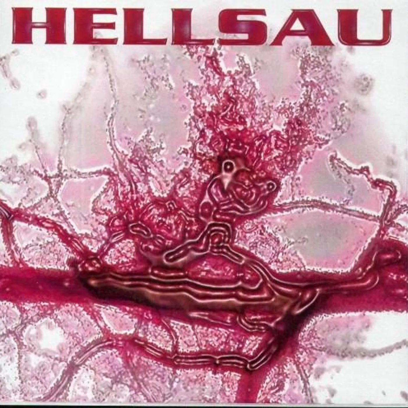 Hellsau VAIN CD