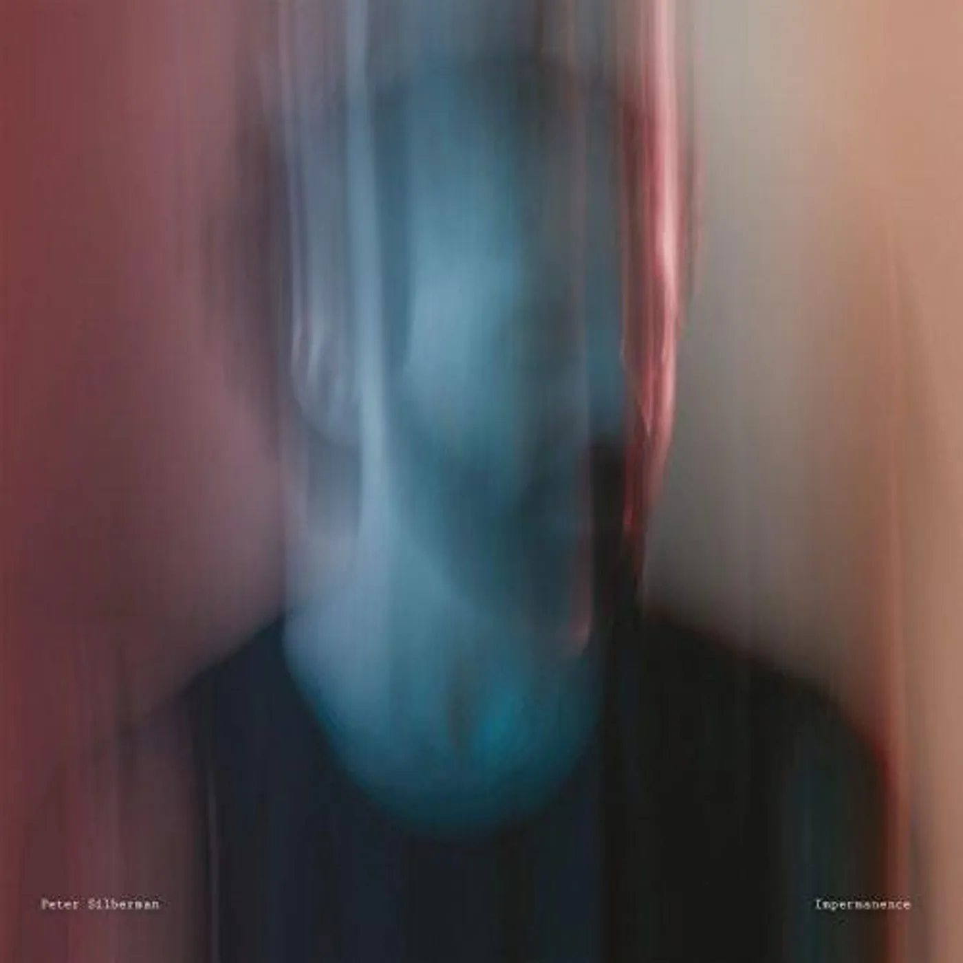 Peter Silberman IMPERMANENCE Vinyl Record