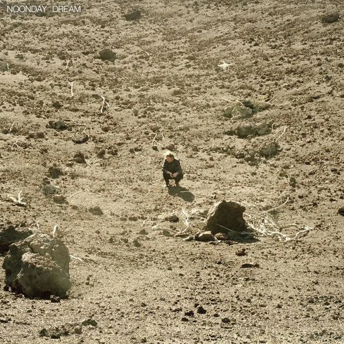 Ben Howard NOONDAY DREAM (2LP) Vinyl Record