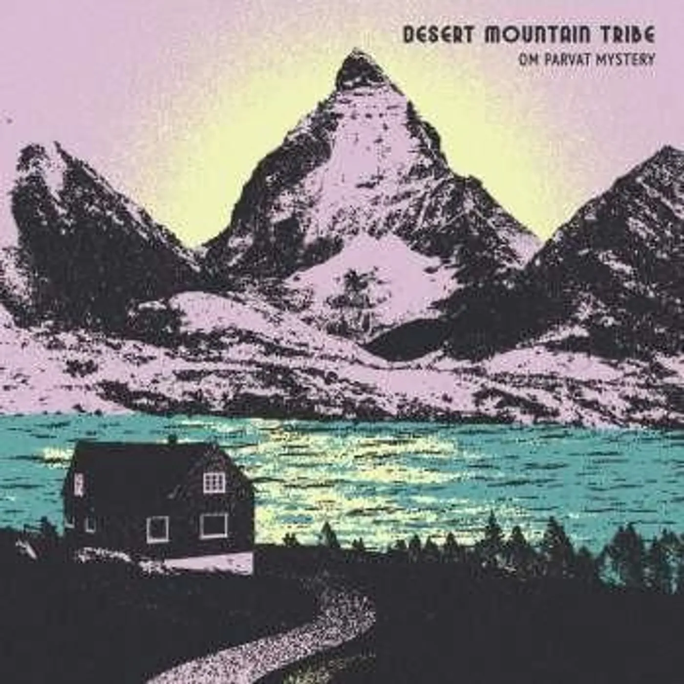 Desert Mountain Tribe OM PARVAT MYSTERY Vinyl Record