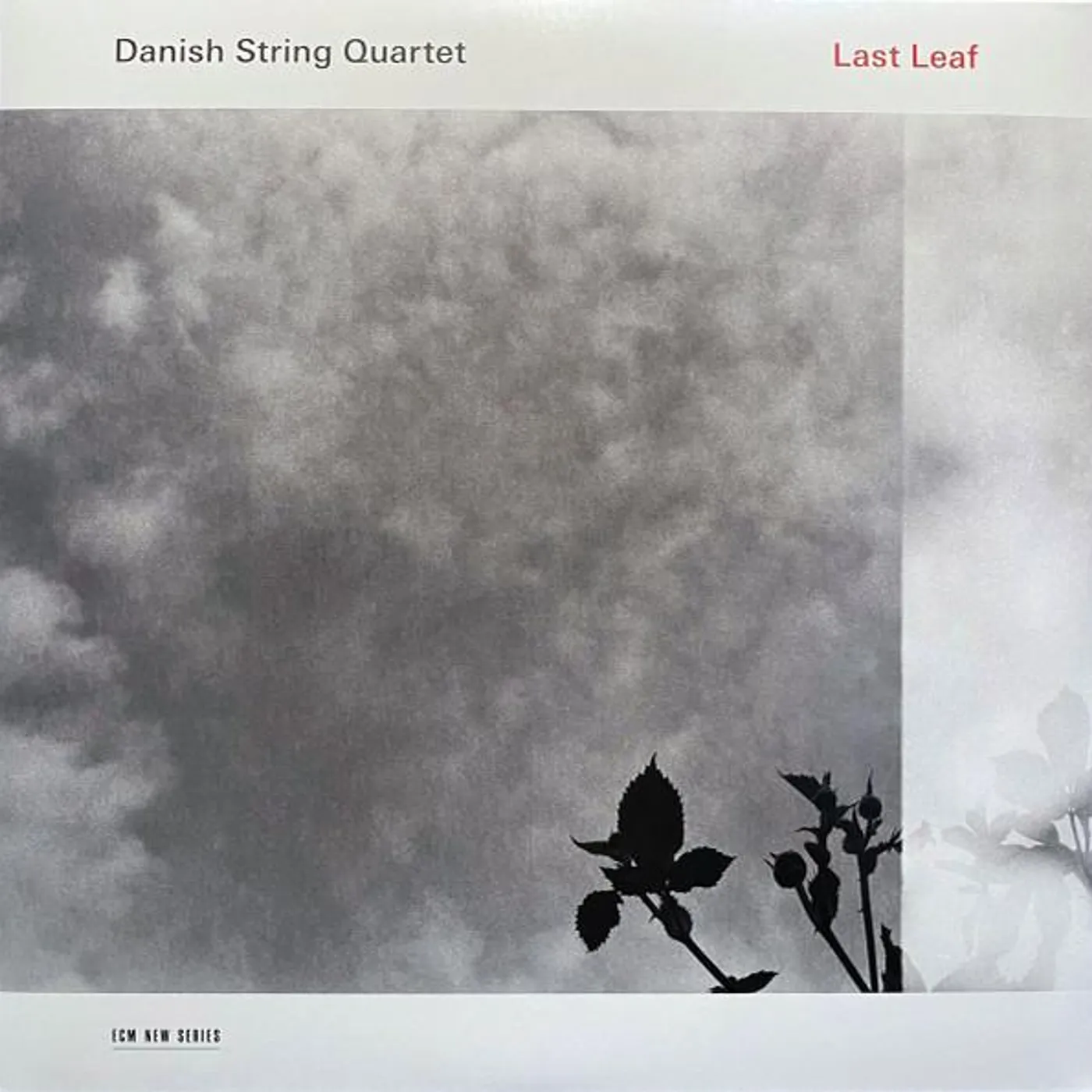 Danish String Quartet LAST LEAF (LP) Vinyl Record