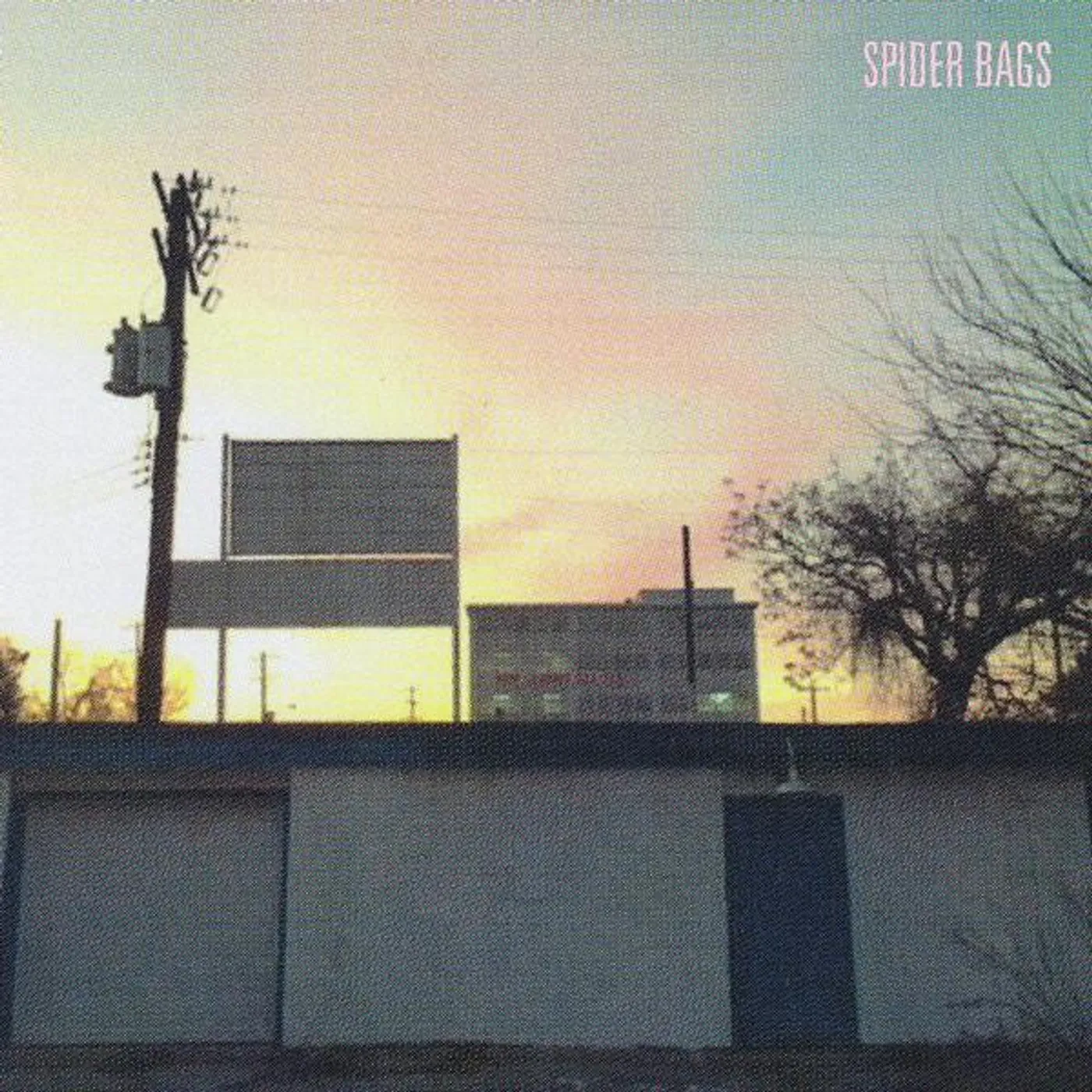 Spider Bags Someday Everything Will Be Fine Peak (I) Vinyl Record