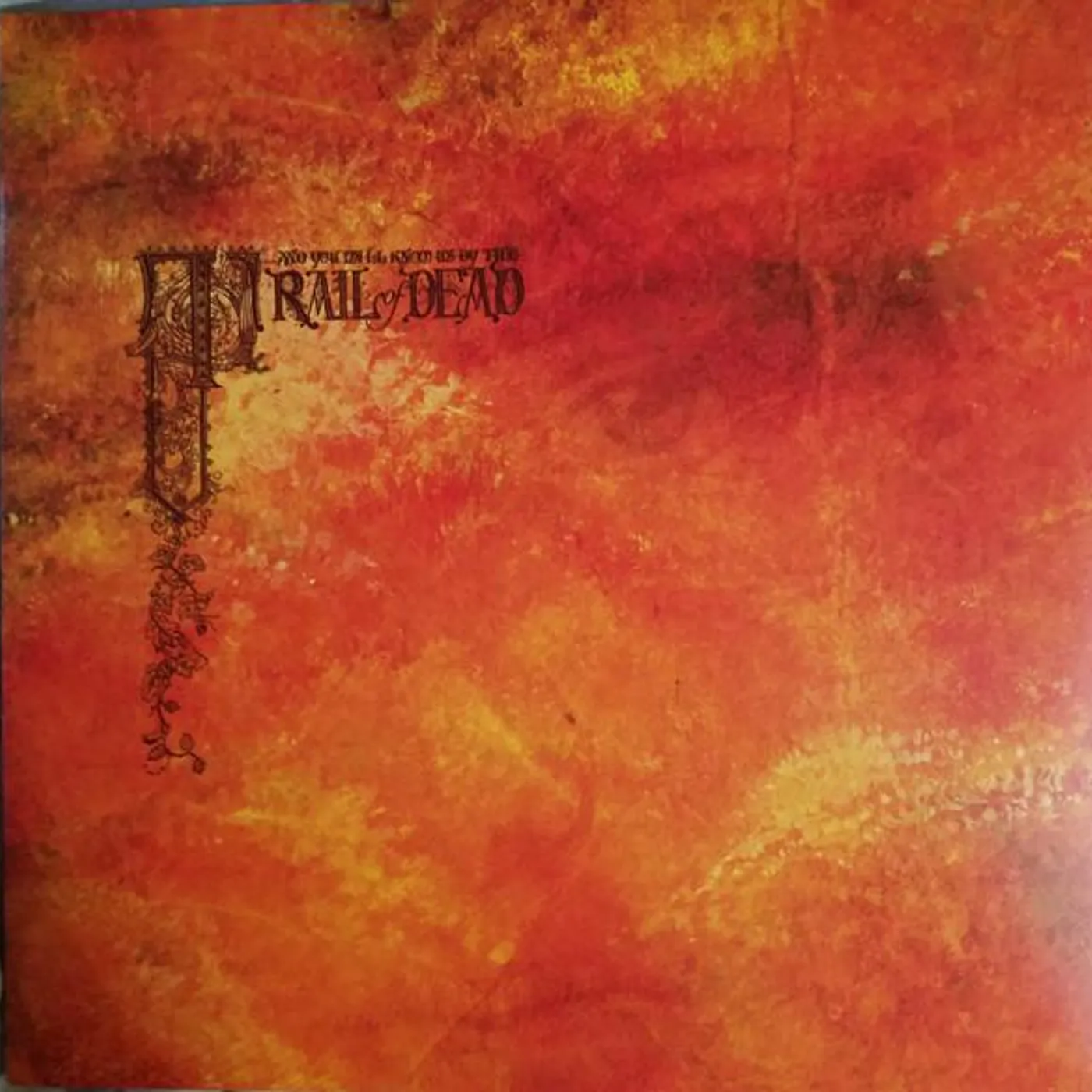 ...And You Will Know Us by the Trail of Dead SOURCE TAGS & CODES (TRANSLUCENT GOLD VINYL/2LP) Vinyl Record