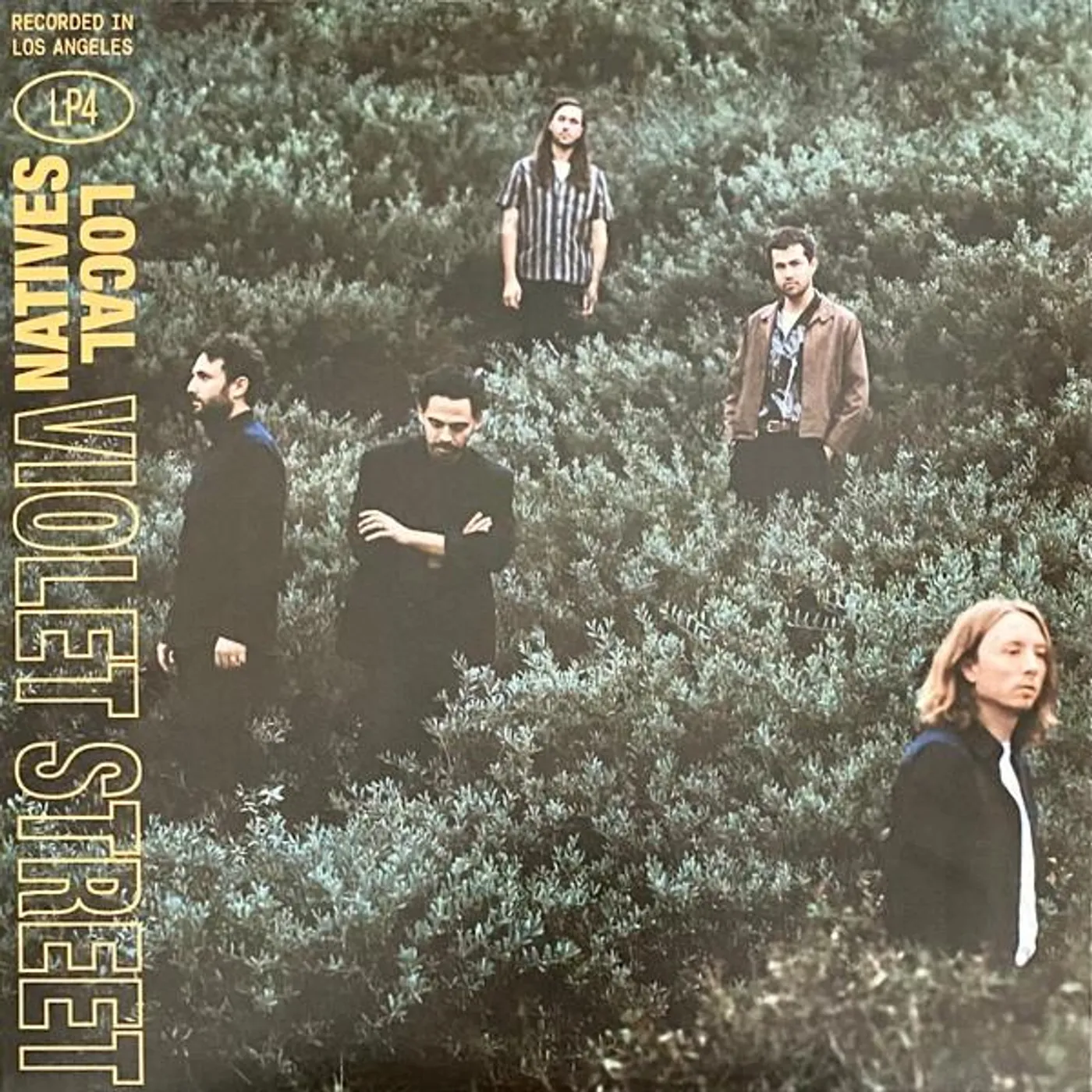 Local Natives Violet Street Vinyl Record