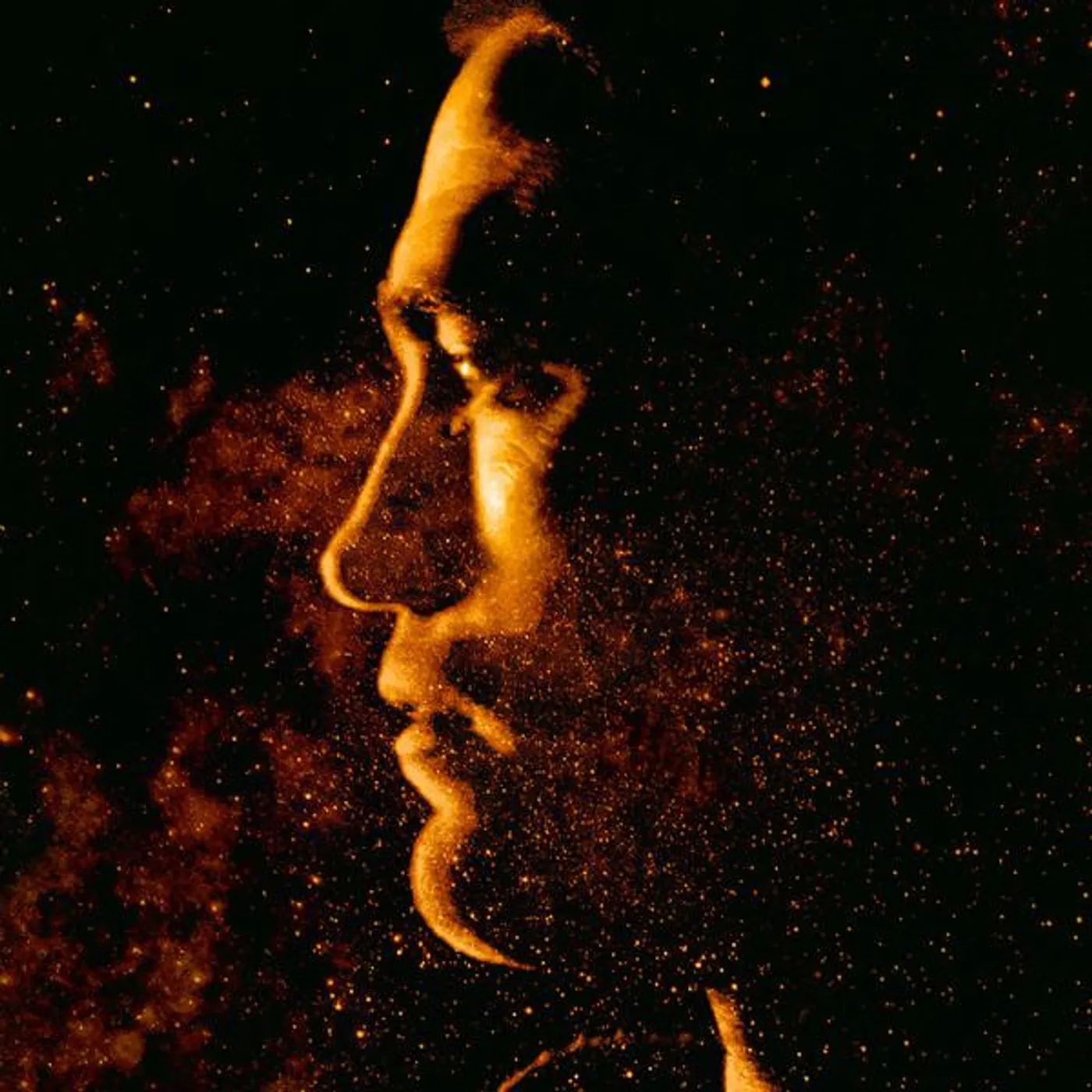 Stuart A. Staples MUSIC FOR CLAIRE DENIS HIGH LIFE Vinyl Record