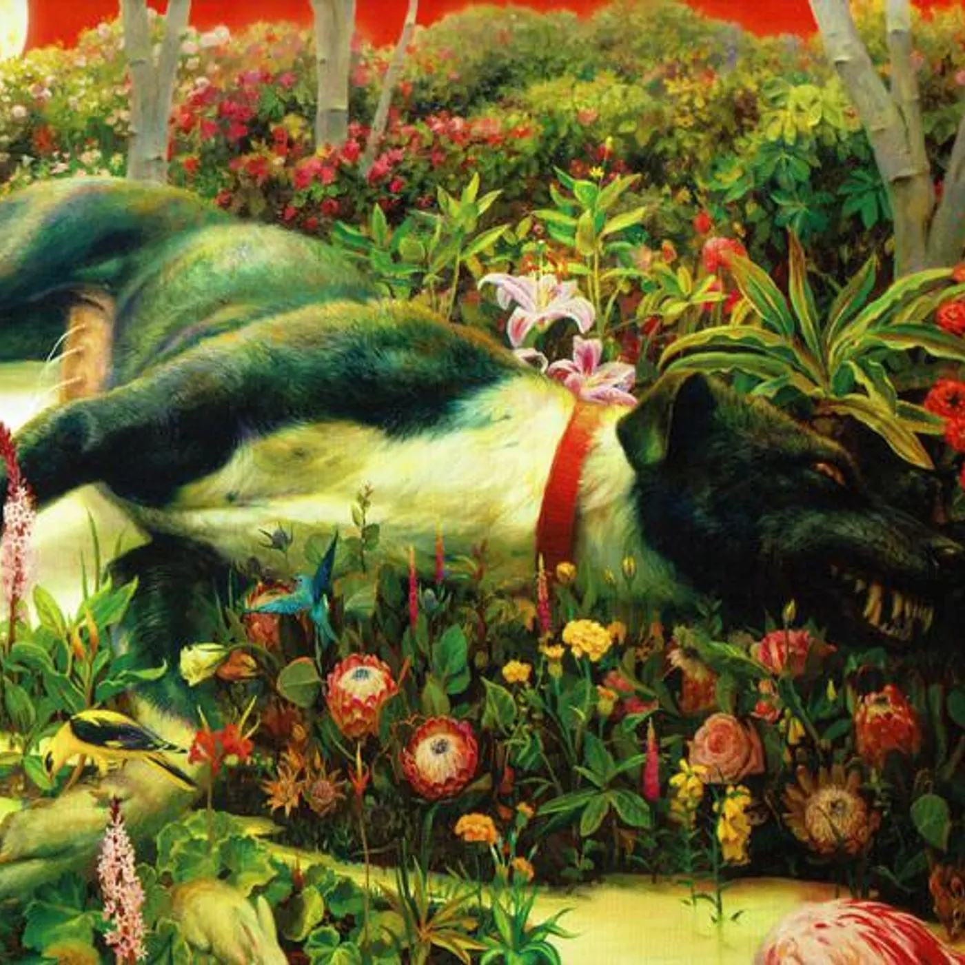Rival Sons FERAL ROOTS CD
