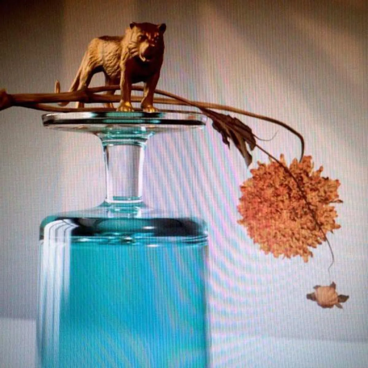 Beirut GALLIPOLI CD