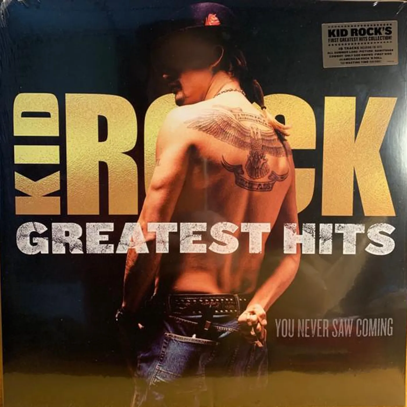 Kid Rock GREATEST HITS: YOU NEVER SAW COMING (2LP) Vinyl Record