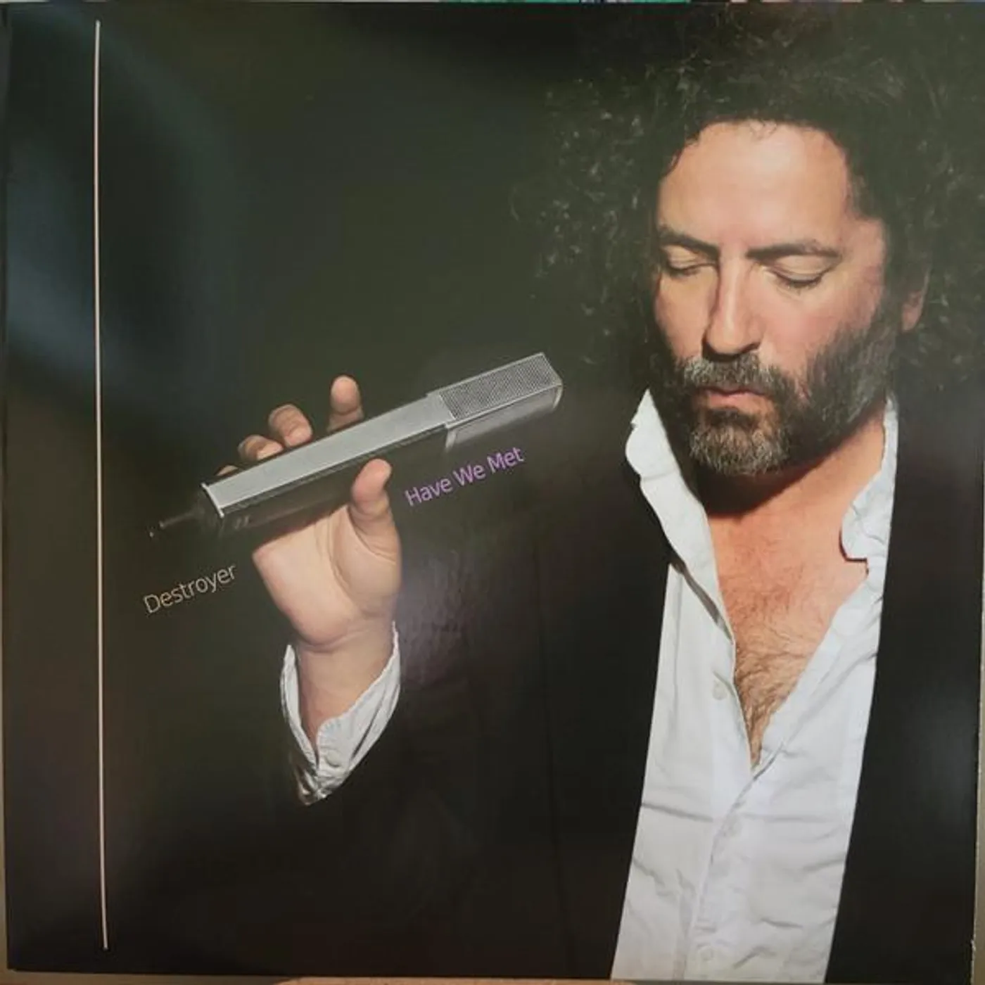 Destroyer HAVE WE MET Vinyl Record