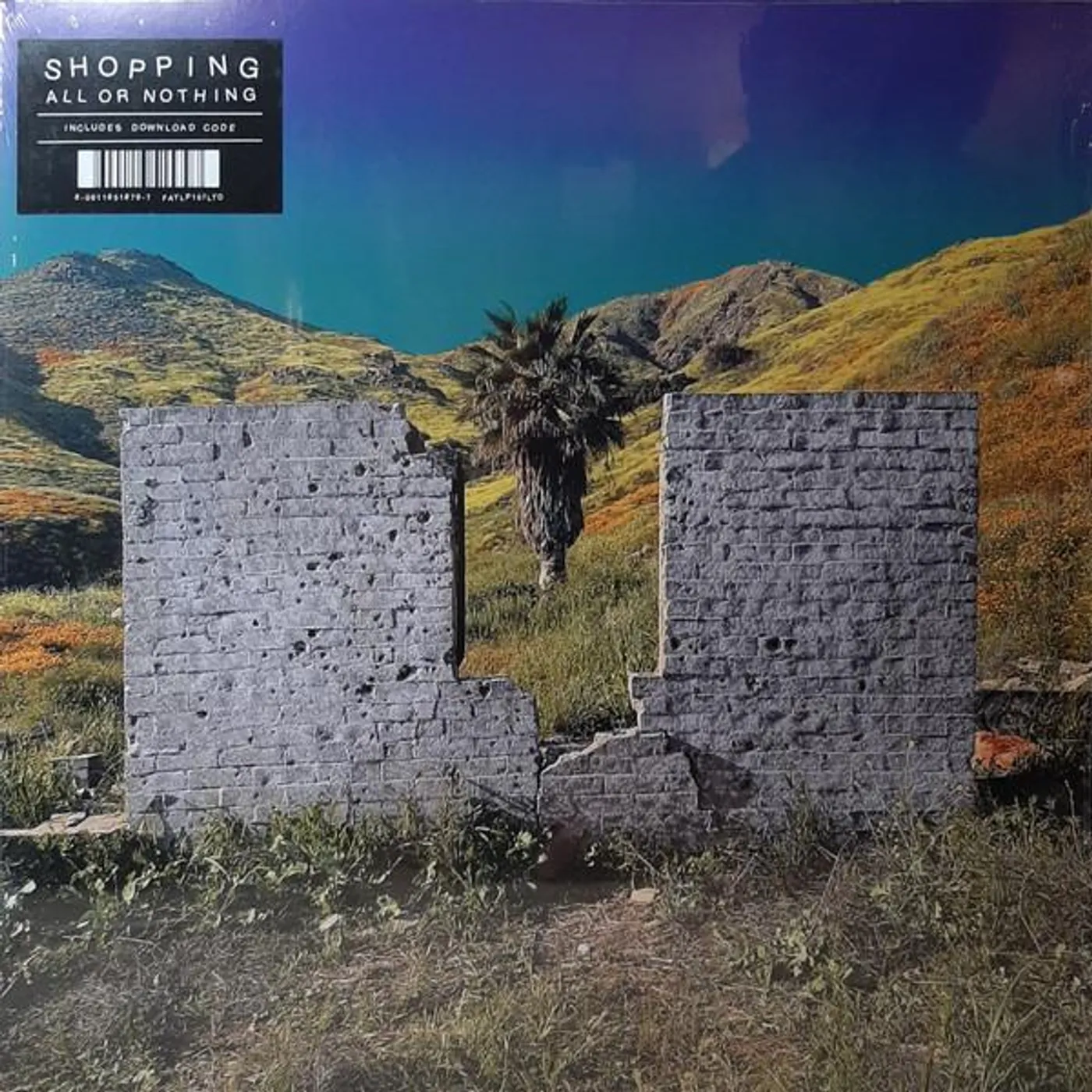 Shopping ALL OR NOTHING Vinyl Record
