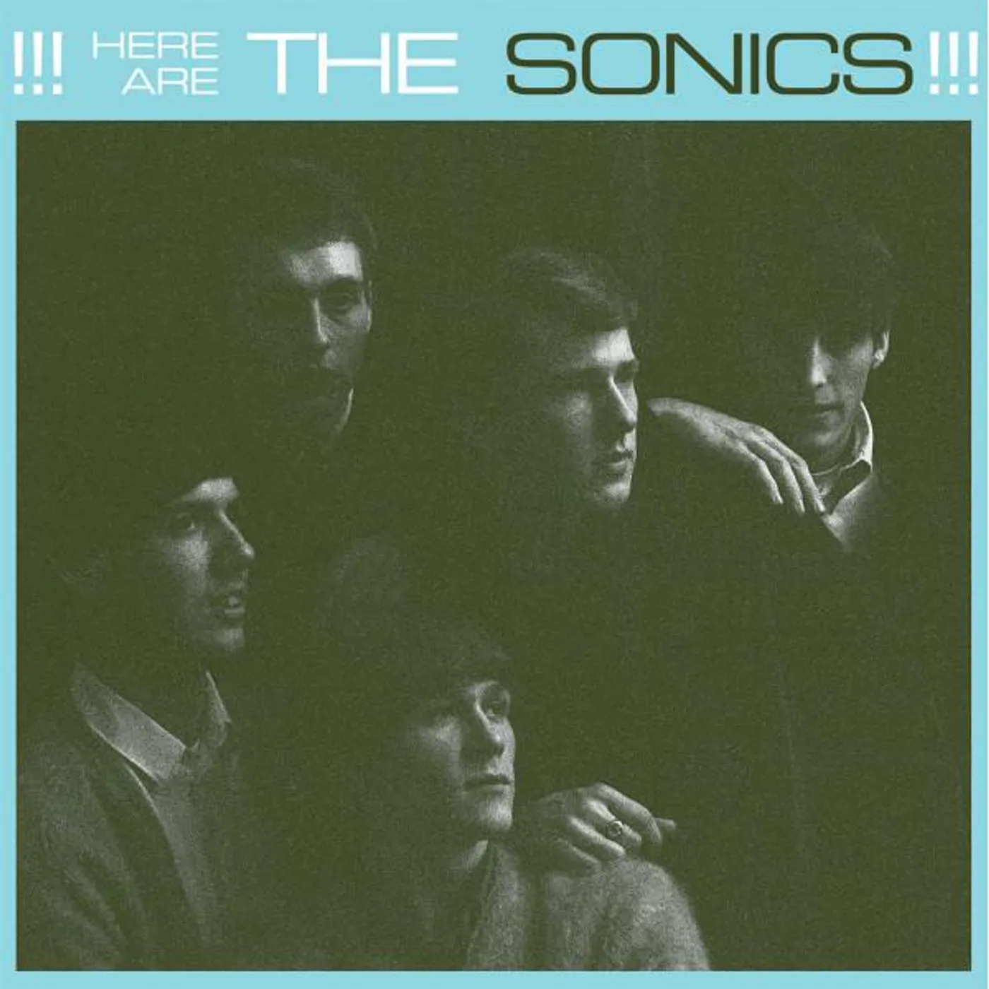 HERE ARE THE SONICS Vinyl Record