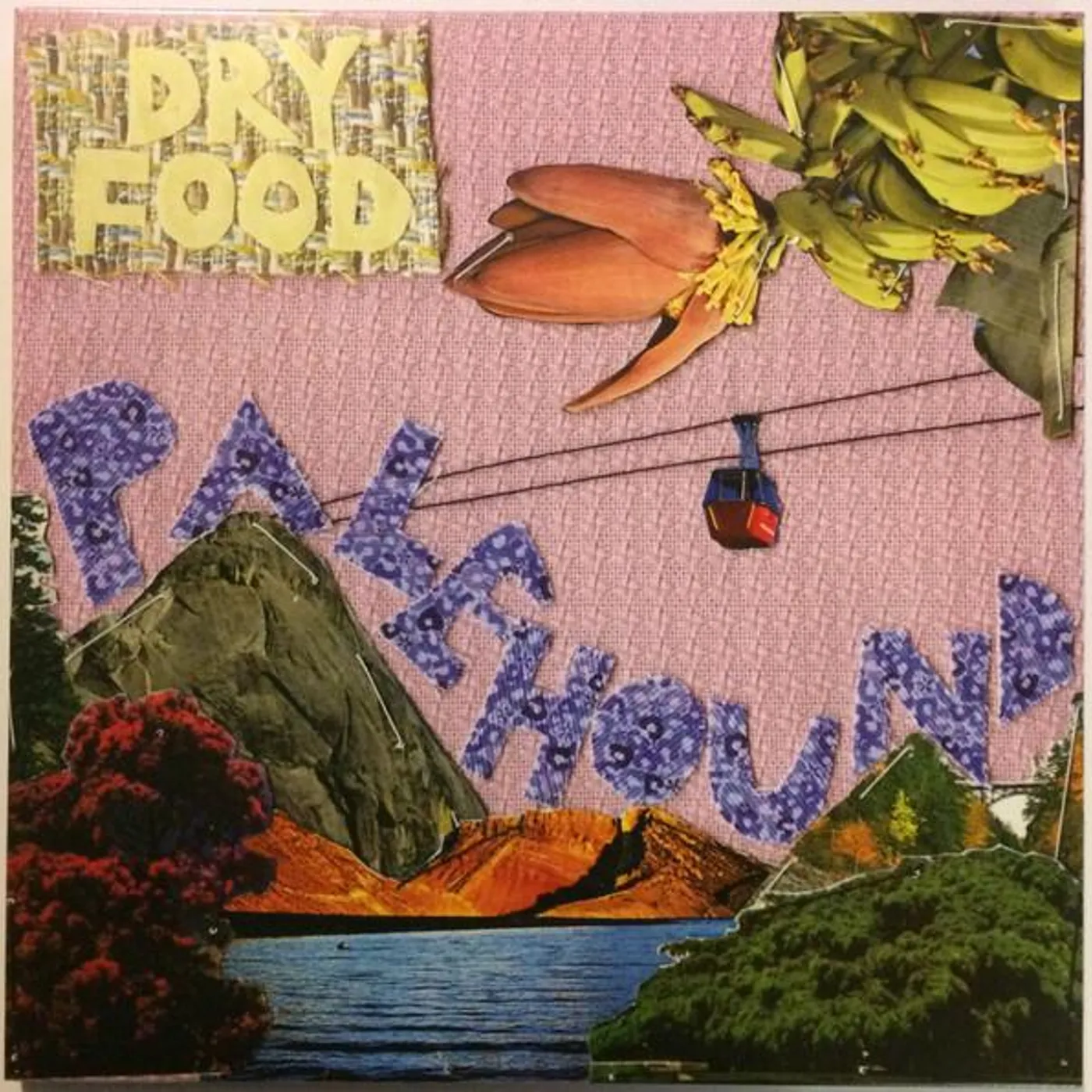 Palehound DRY FOOD Vinyl Record