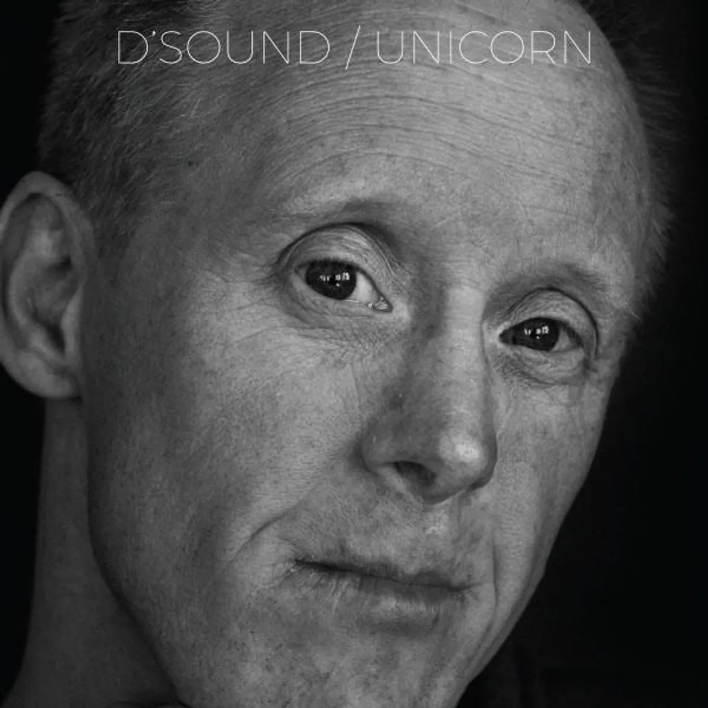 D'Sound Unicorn Vinyl Record