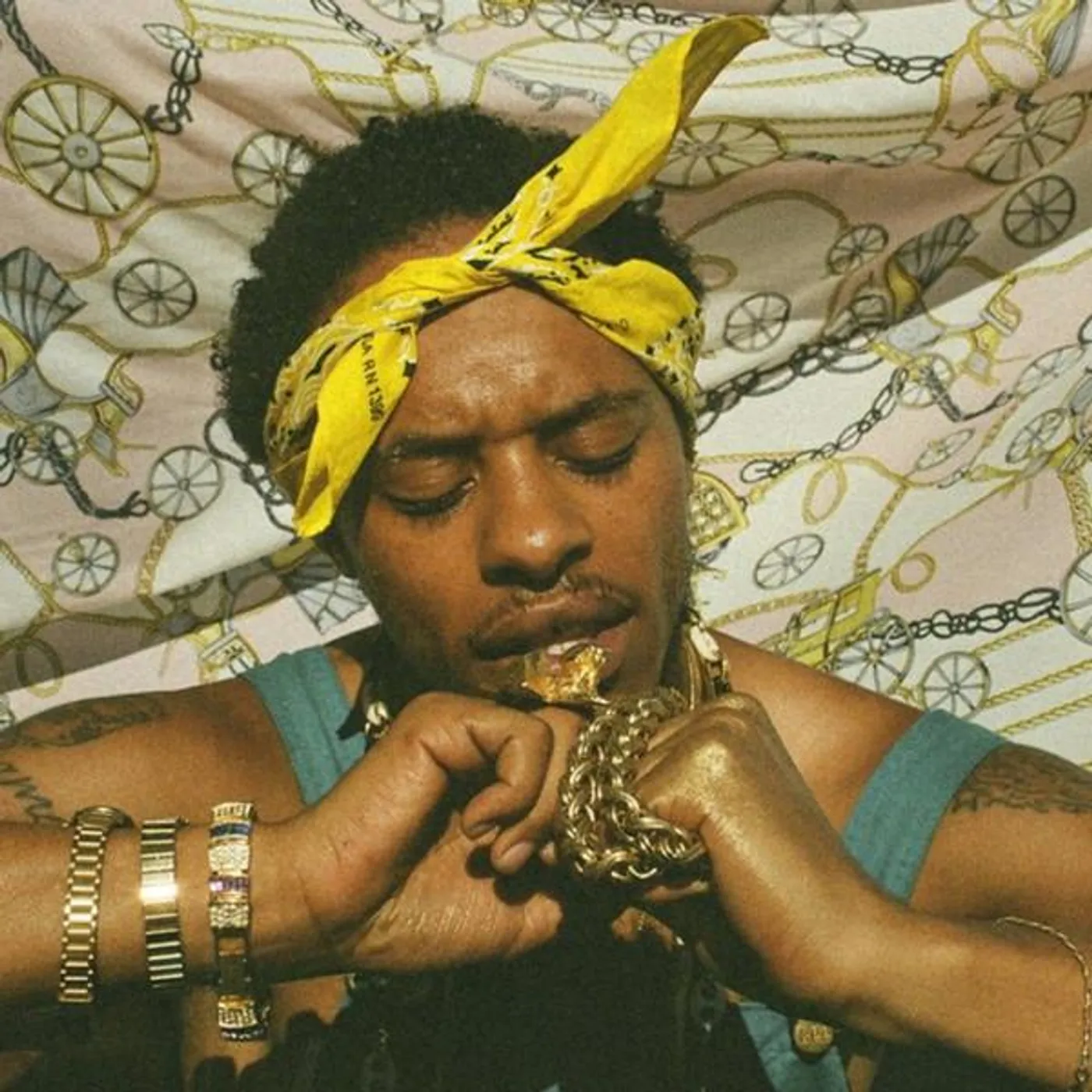 Pink Siifu ENSLEY (2LP) Vinyl Record