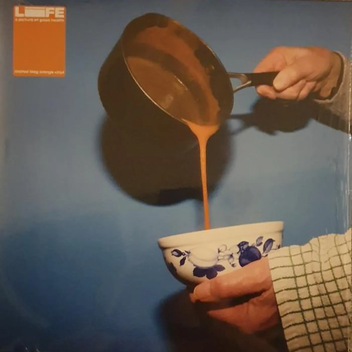 LIFE PICTURE OF GOOD HEALTH (ORANGE VINYL) (I) Vinyl Record