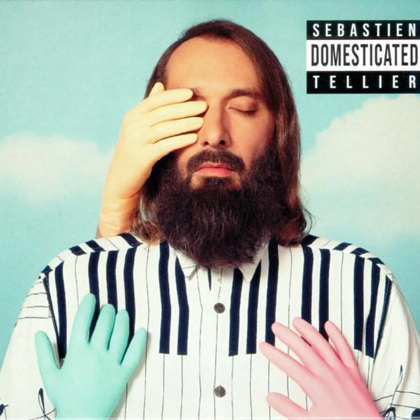Sebastien Tellier DOMESTICATED CD