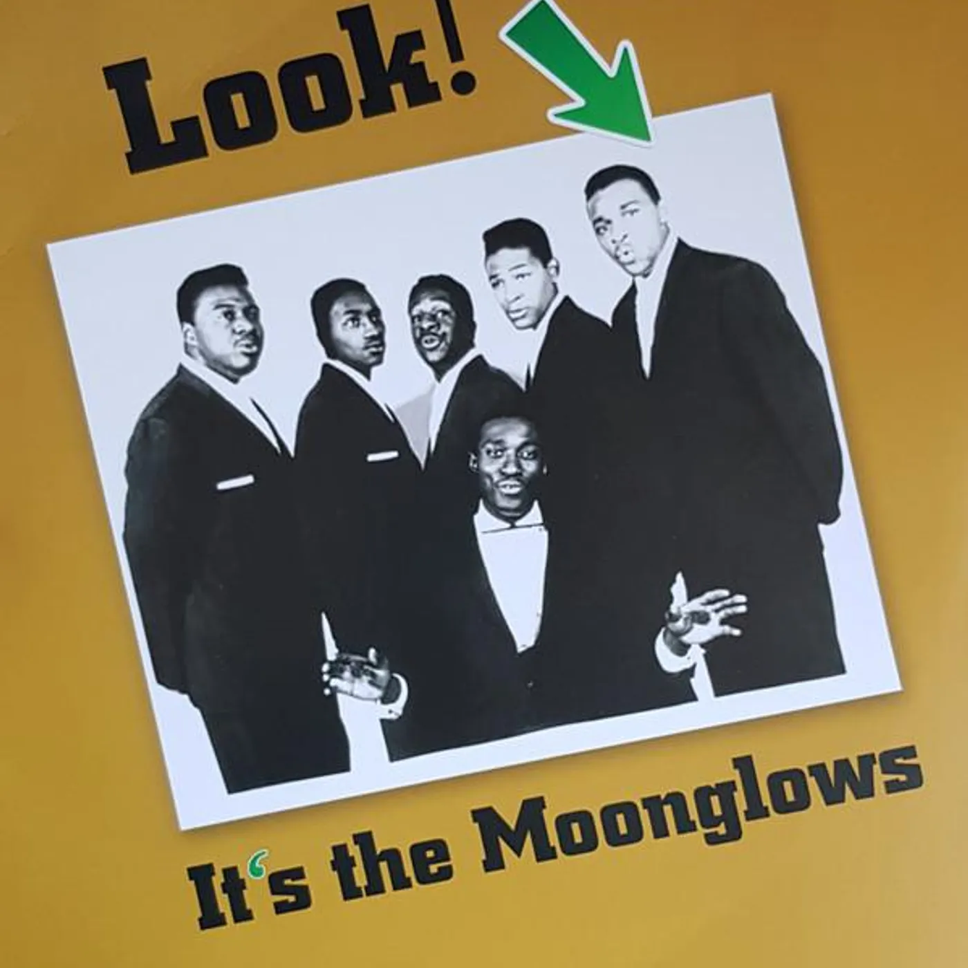 LOOK IT'S THE MOONGLOWS Vinyl Record