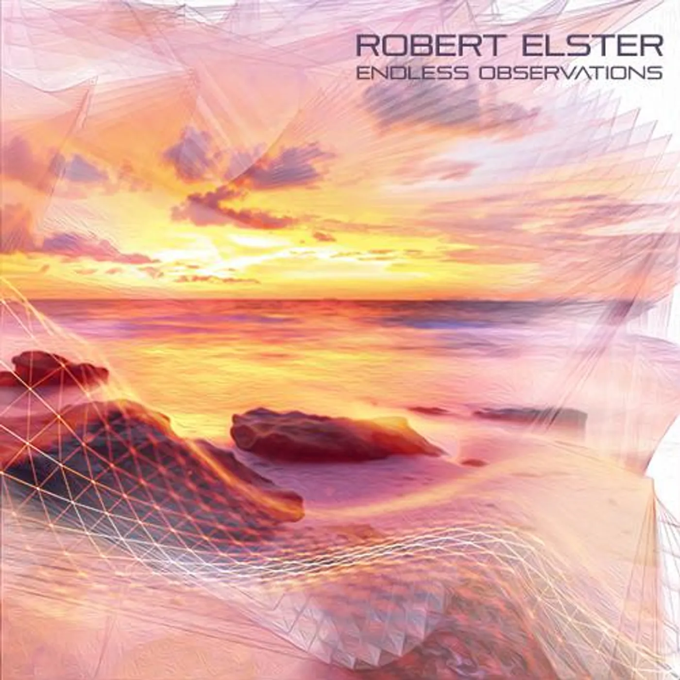 Robert Elster ENDLESS OBSERVATIONS CD