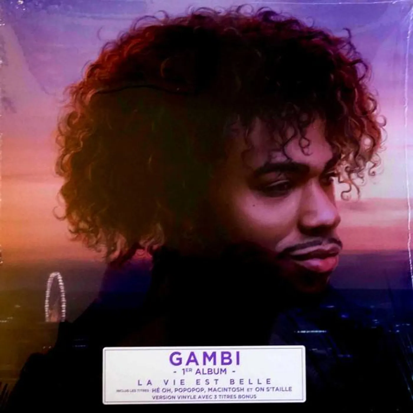 Gambi La Vie Est Belle Vinyl Record